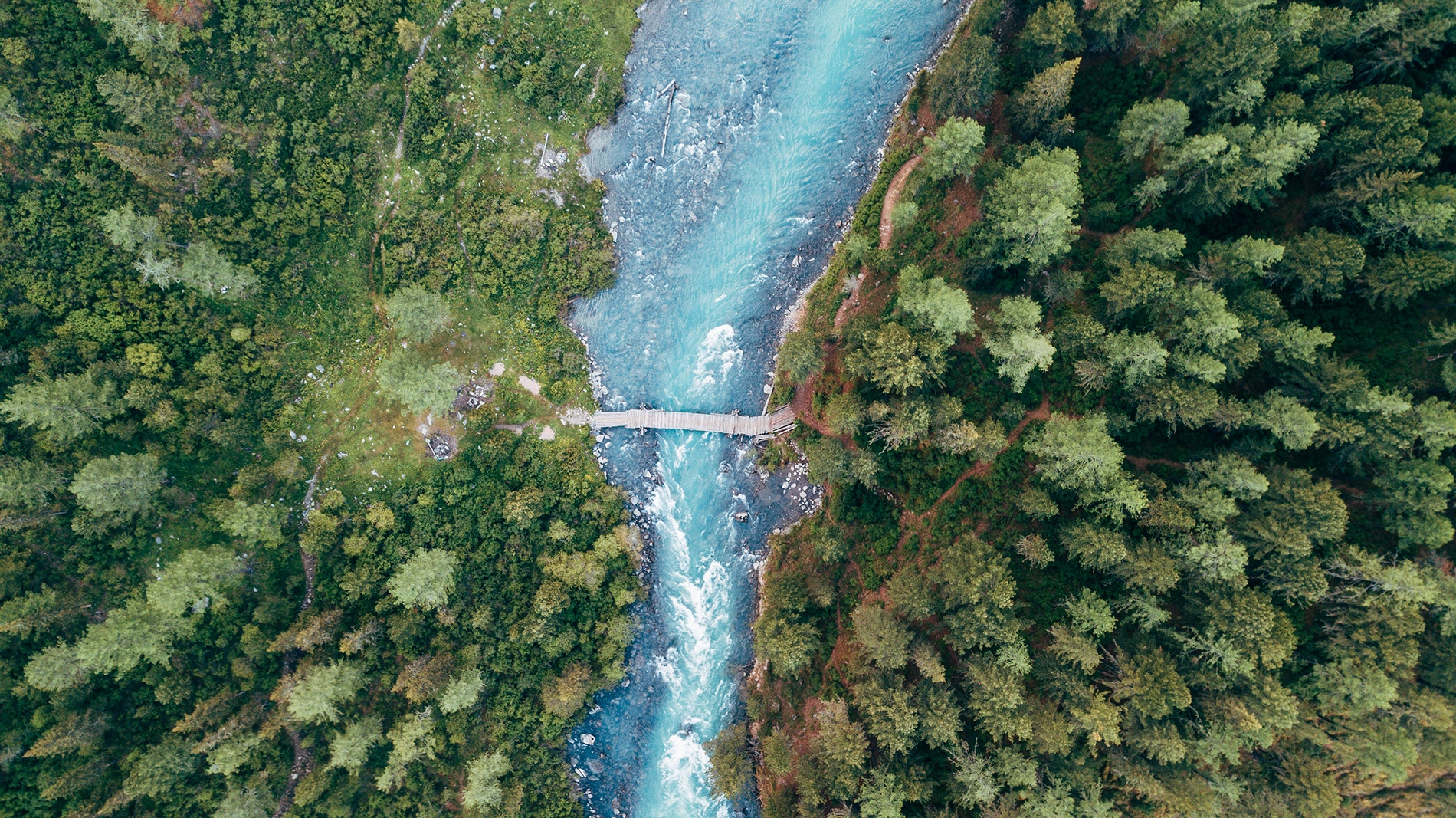 Алтай. К подножию Белухи (34/44)