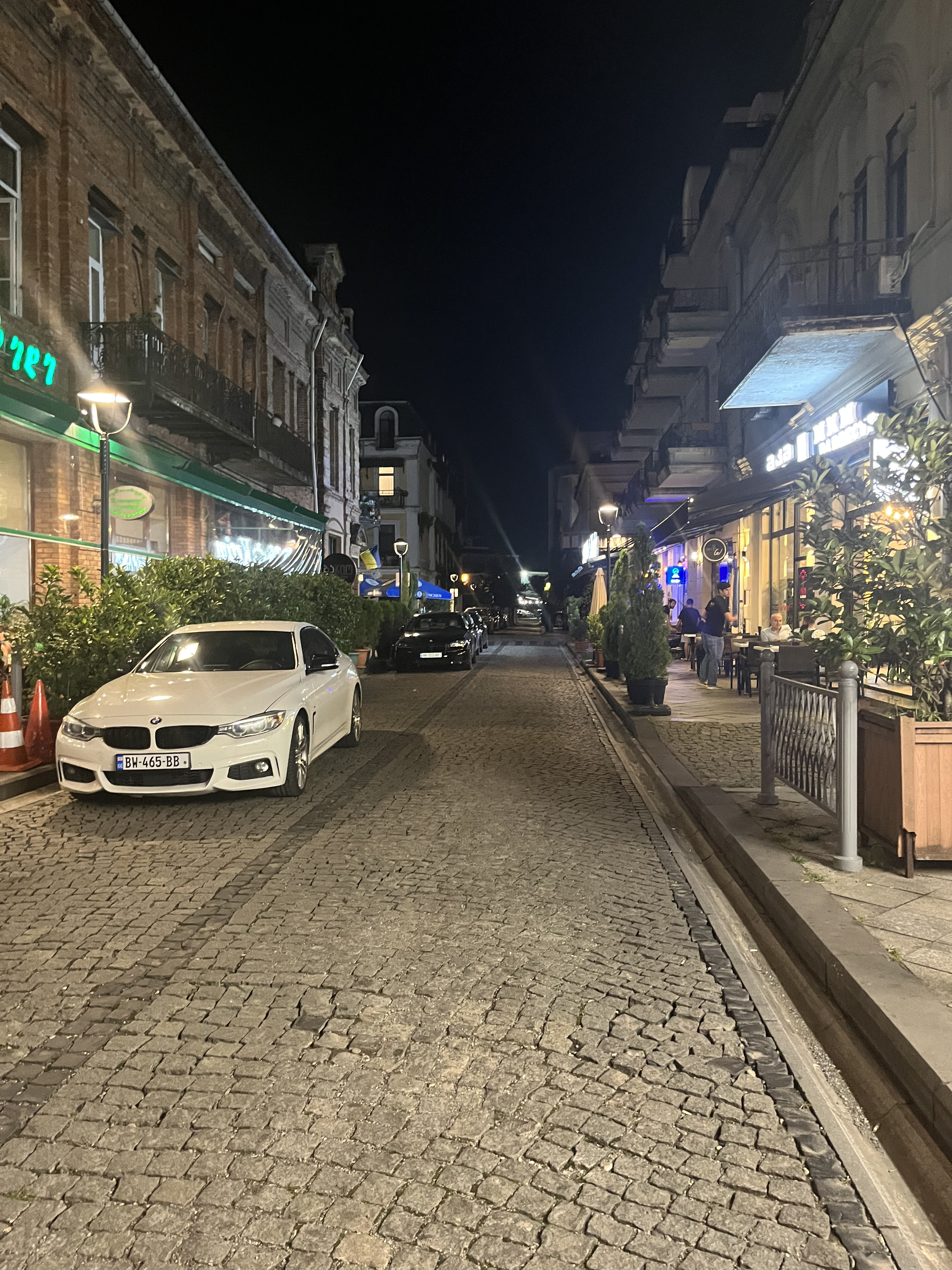 Девичник в Грузию с посещением концерта Меладзе (5/26)