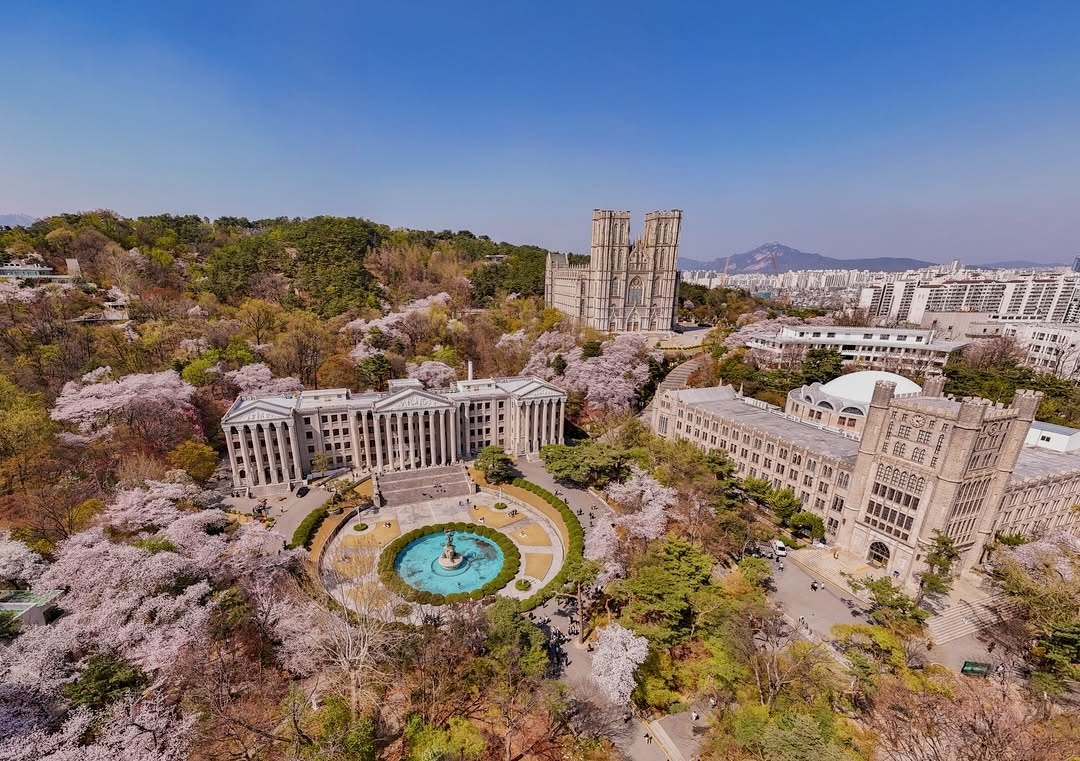 Beauty Тур мечты в Южную Корею в сезон цветения сакуры. Premium тур (30/52)