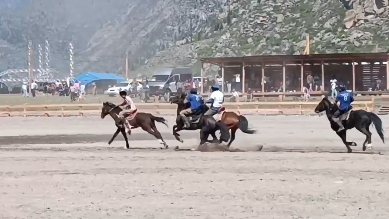 Однодневный фототур. Цветение маральника: Алтай в розовом цвету (9/10)