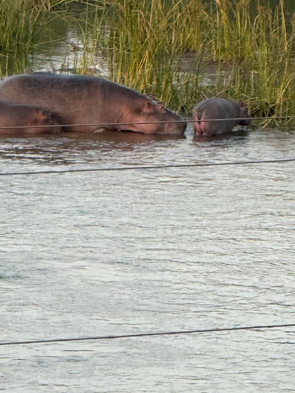 Эфиопия: родина человечества (17/30)