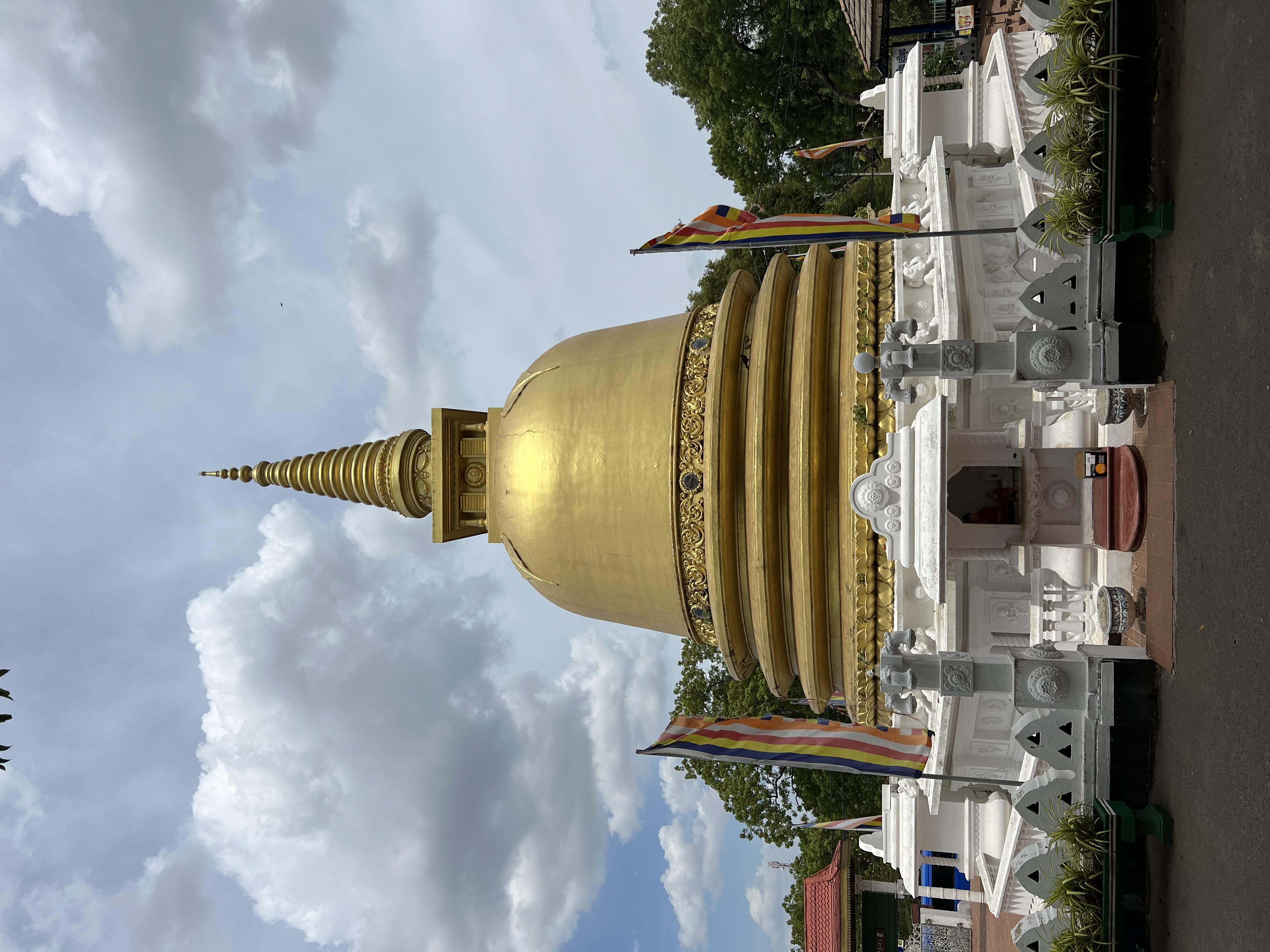 Вибрации Шри-Ланки: практика медитации в топ локациях за 9 дней (7/58)