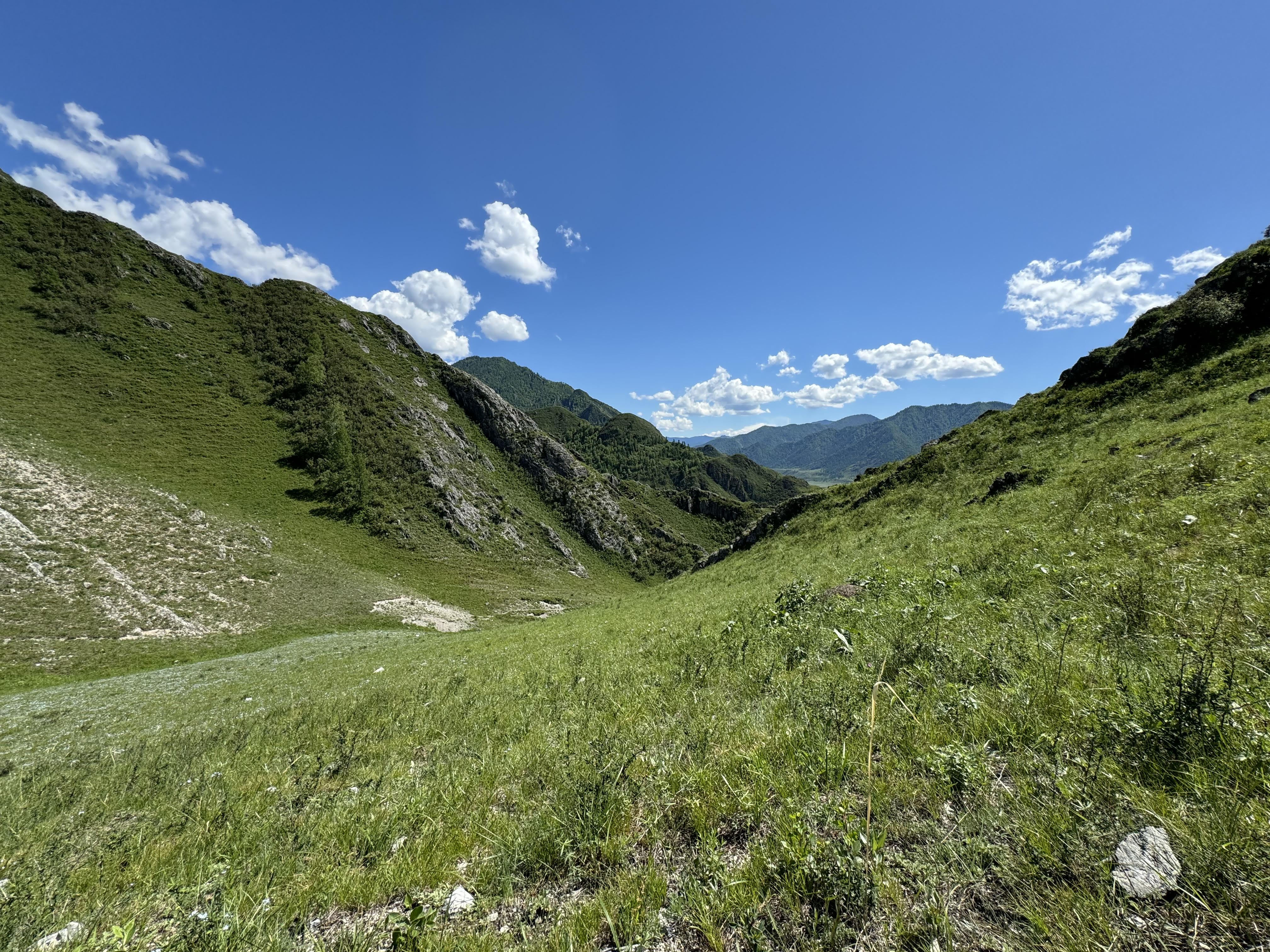 Йога-тур в долине неолита на Алтае! (23/49)