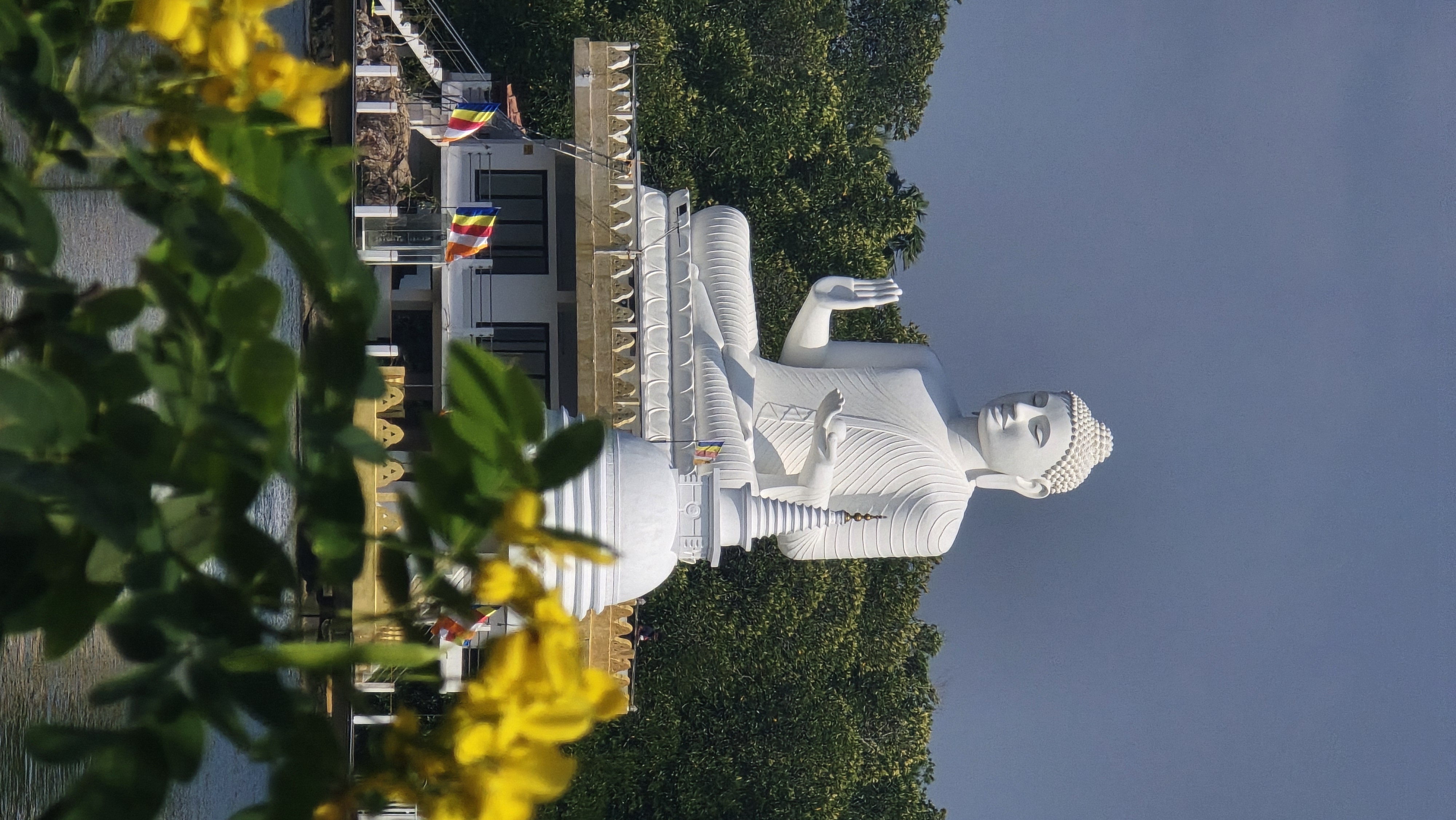 Вибрации Шри-Ланки: практика медитации в топ локациях за 9 дней (41/58)