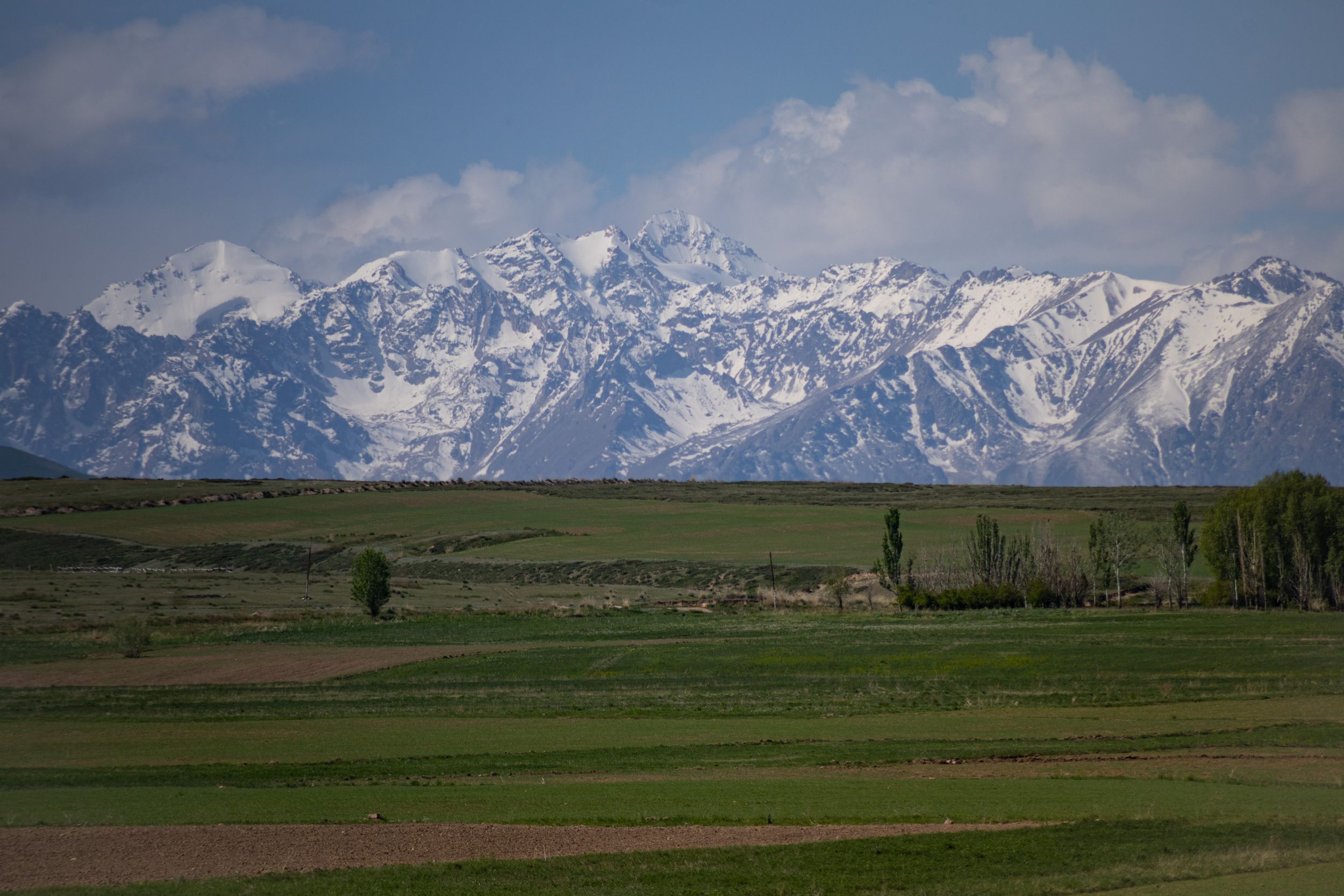 Солнечный Кыргызстан с профессиональным фотографом (3/45)