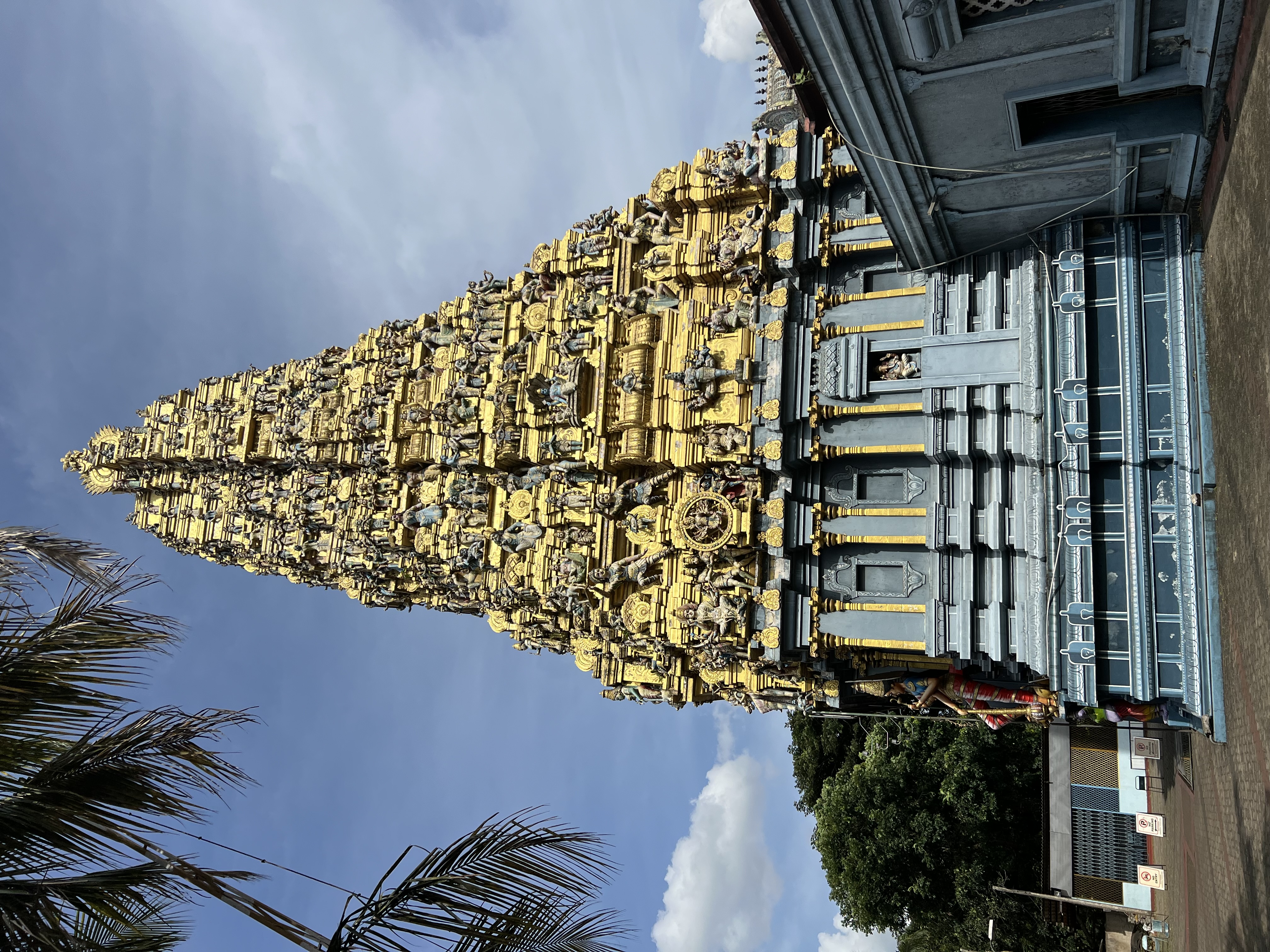 Вибрации Шри-Ланки: практика медитации в топ локациях за 9 дней (8/58)