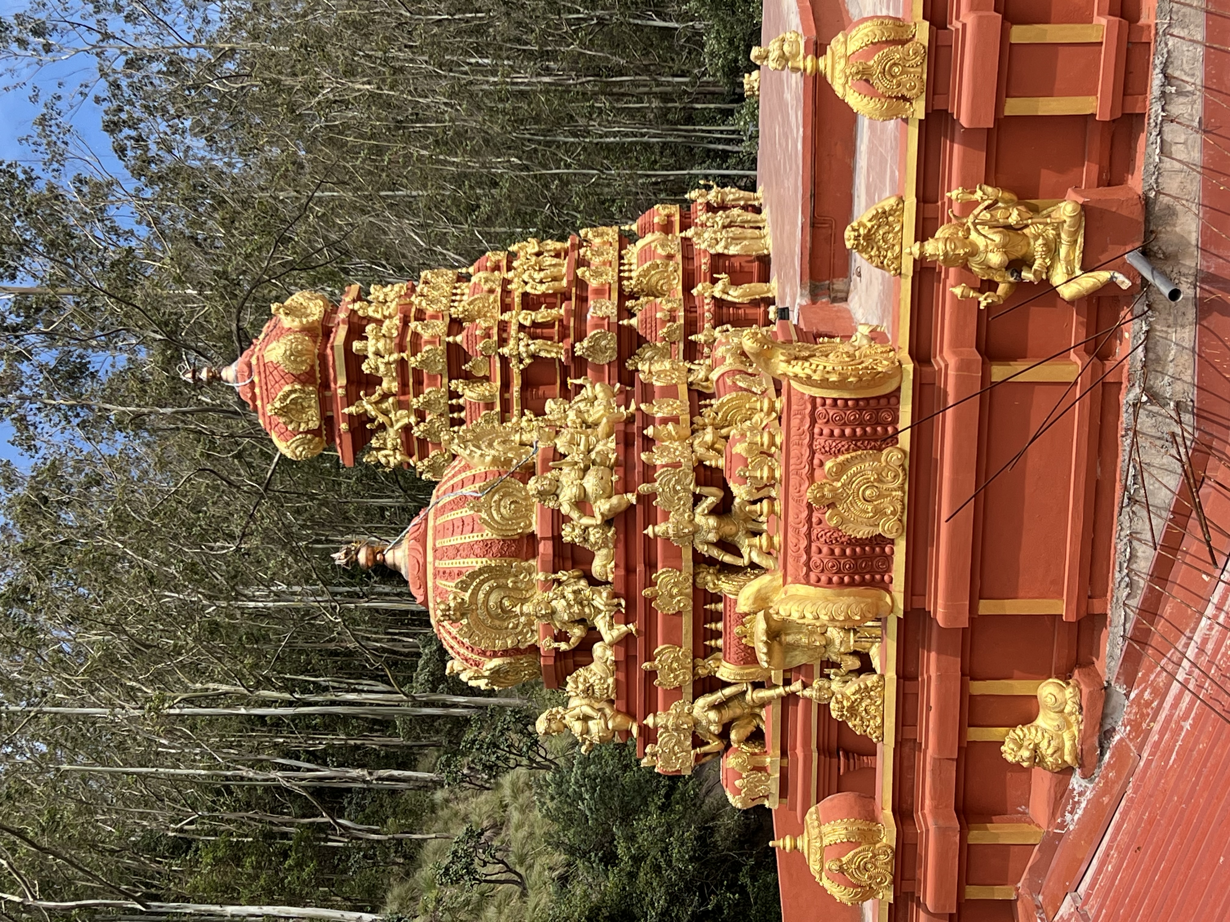 Вибрации Шри-Ланки: практика медитации в топ локациях за 9 дней (15/58)