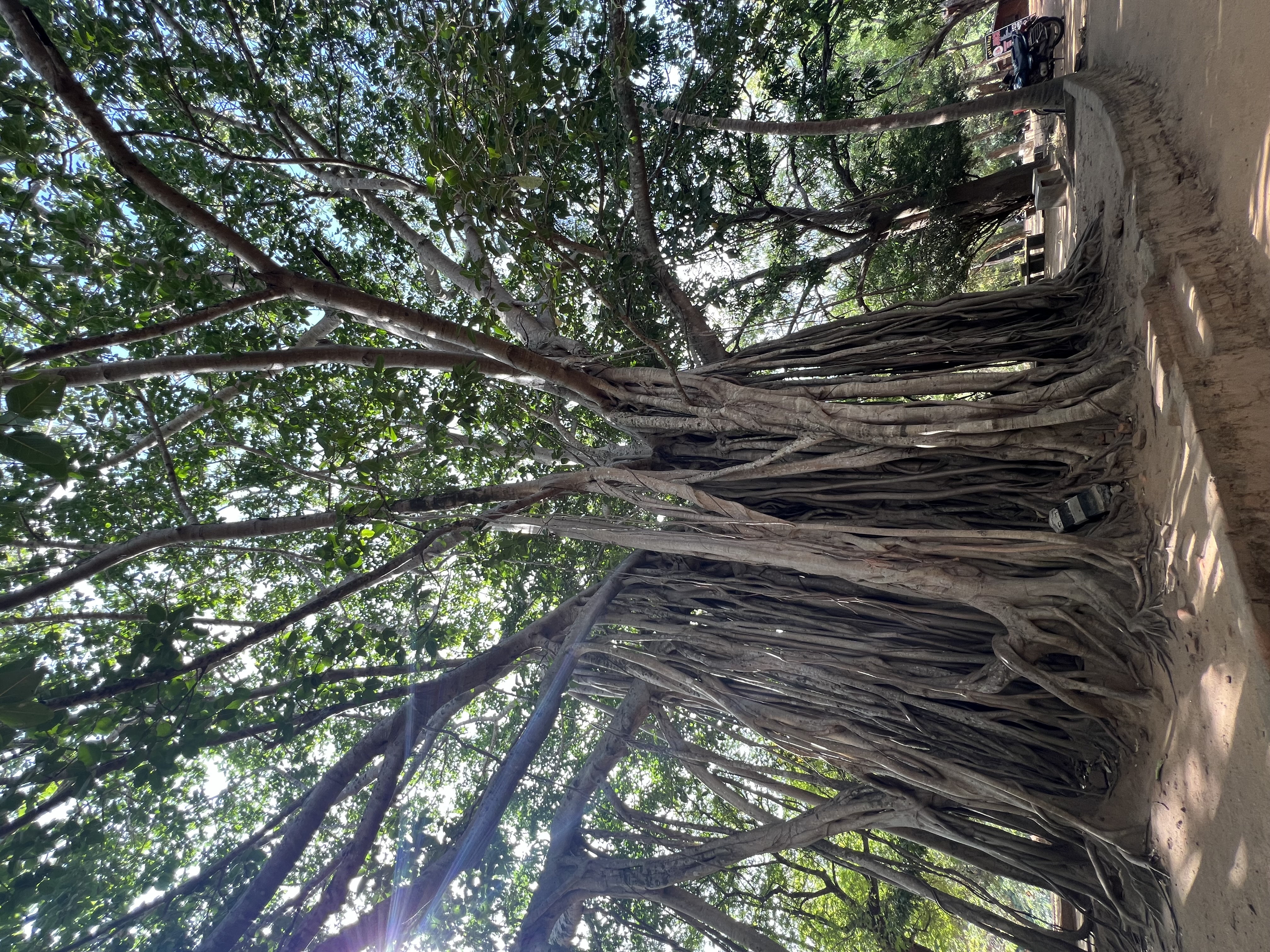 Вибрации Шри-Ланки: практика медитации в топ локациях за 9 дней (30/58)