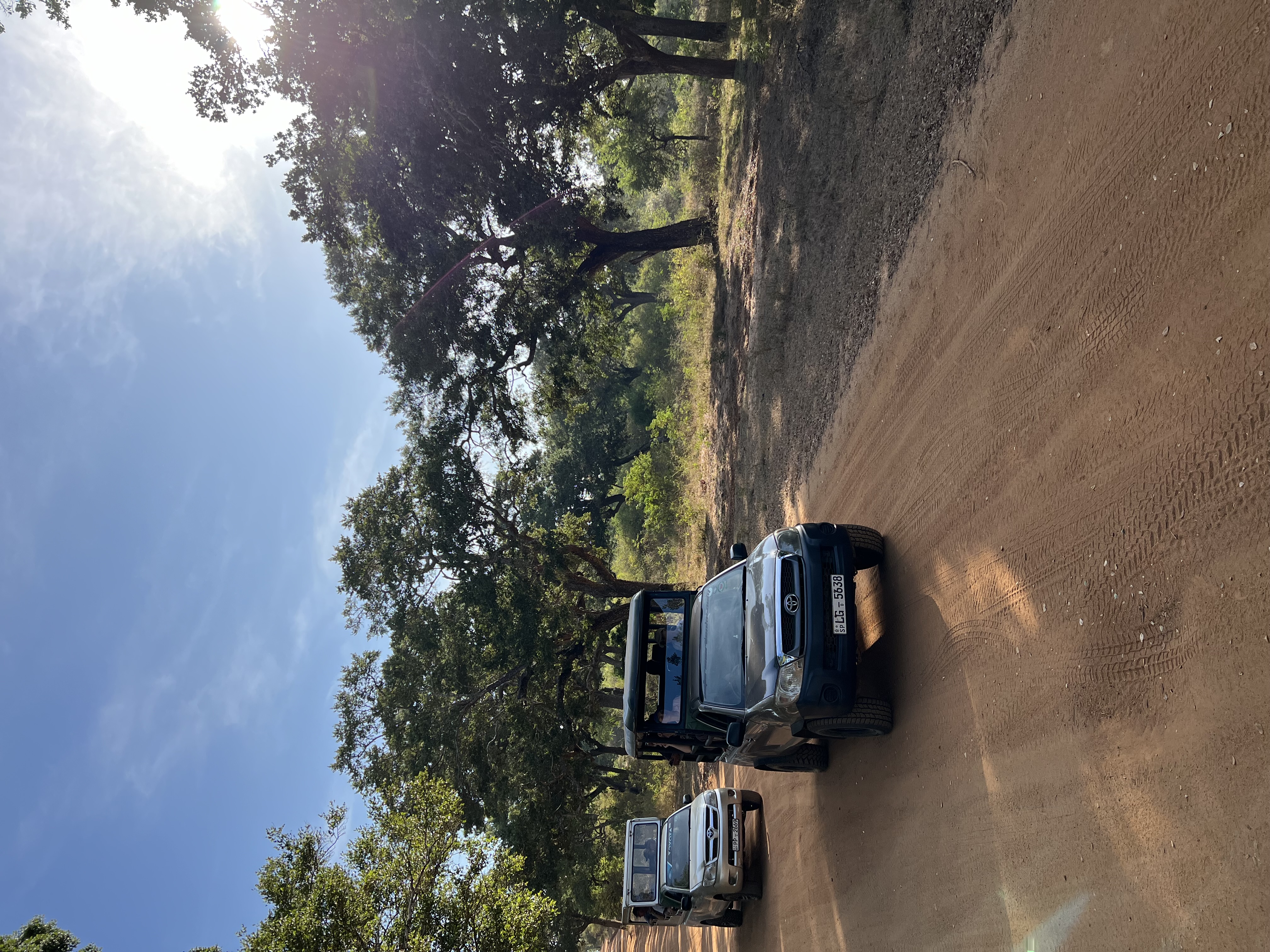 Вибрации Шри-Ланки: практика медитации в топ локациях за 9 дней (17/58)