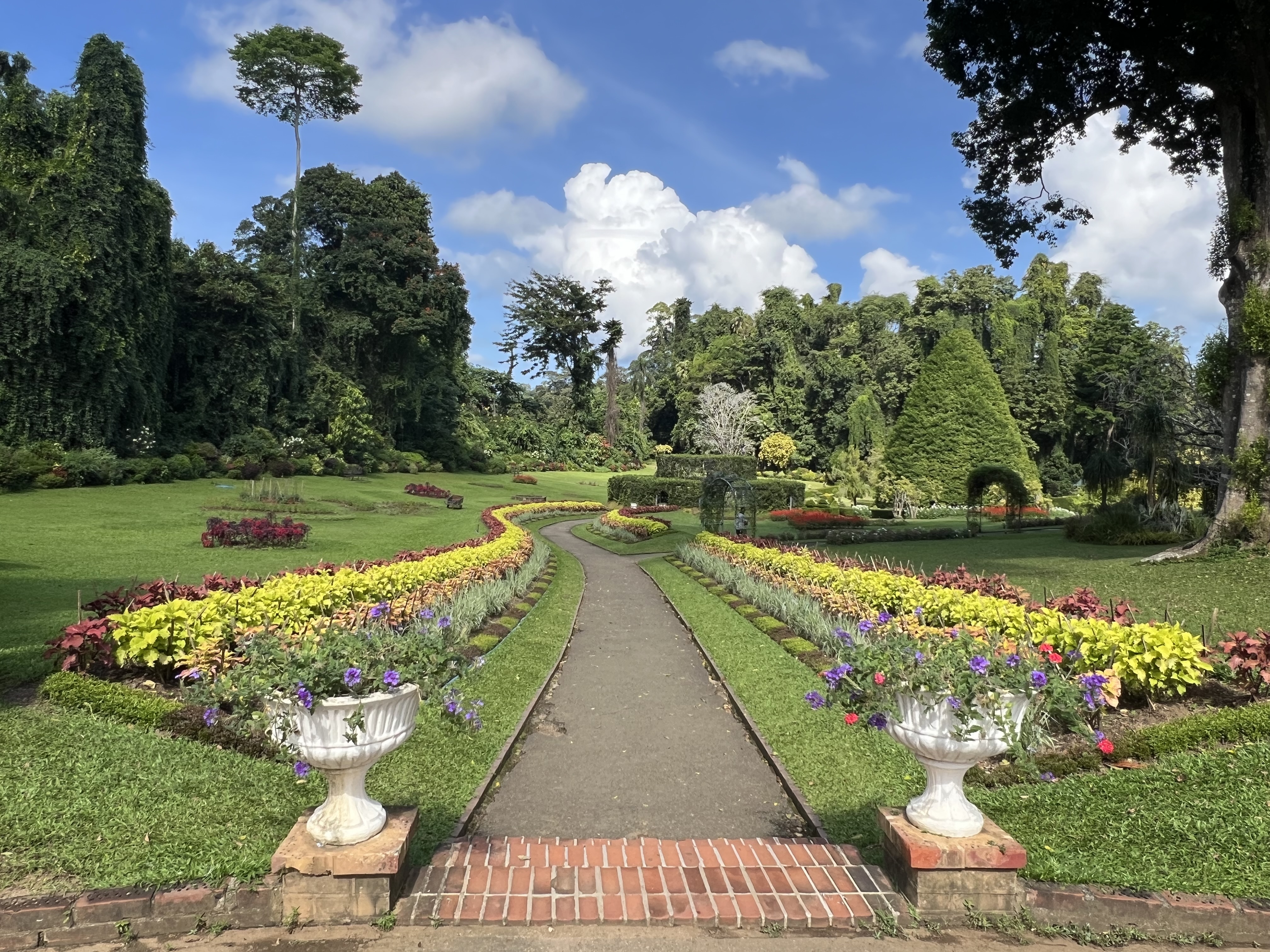 Вибрации Шри-Ланки: практика медитации в топ локациях за 9 дней (23/58)