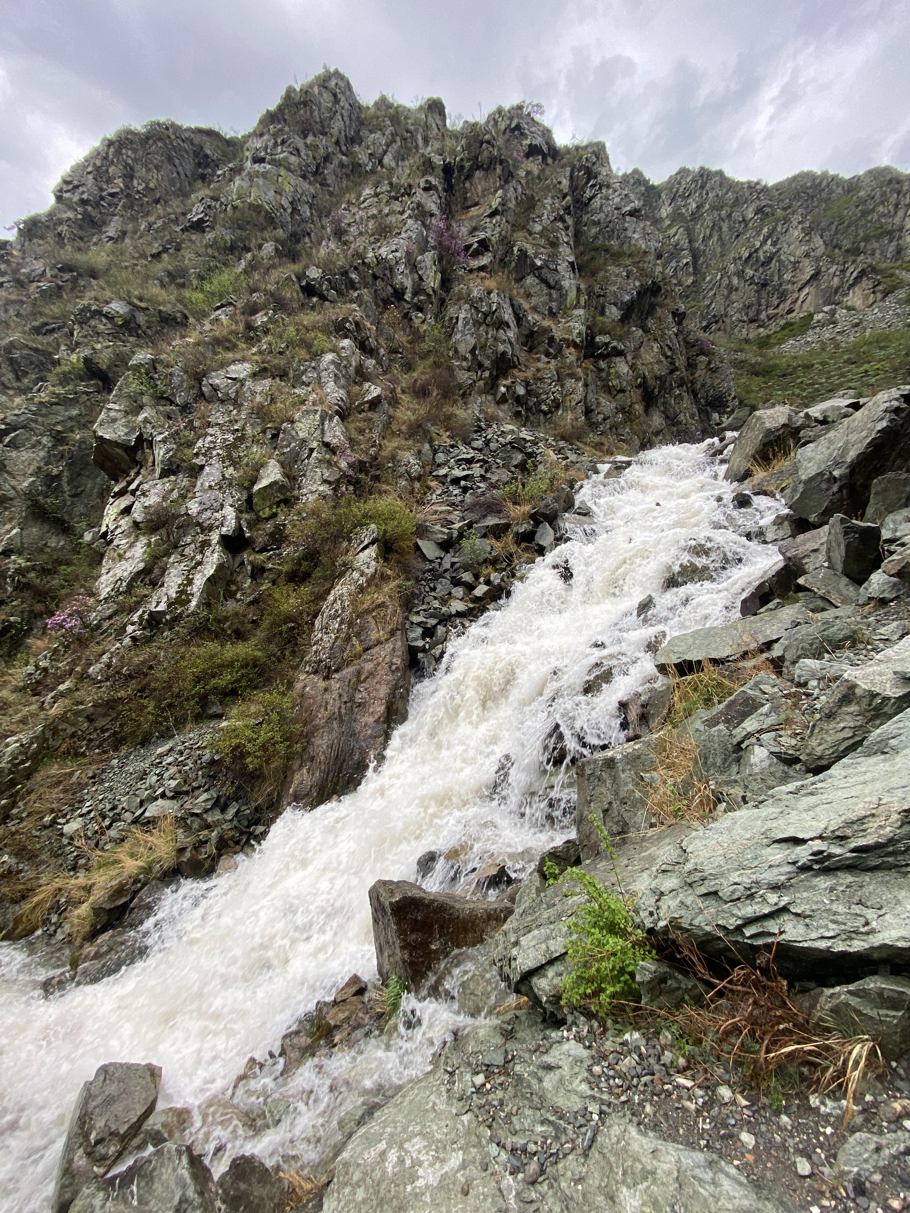 Йога-тур в долине неолита на Алтае! (13/49)