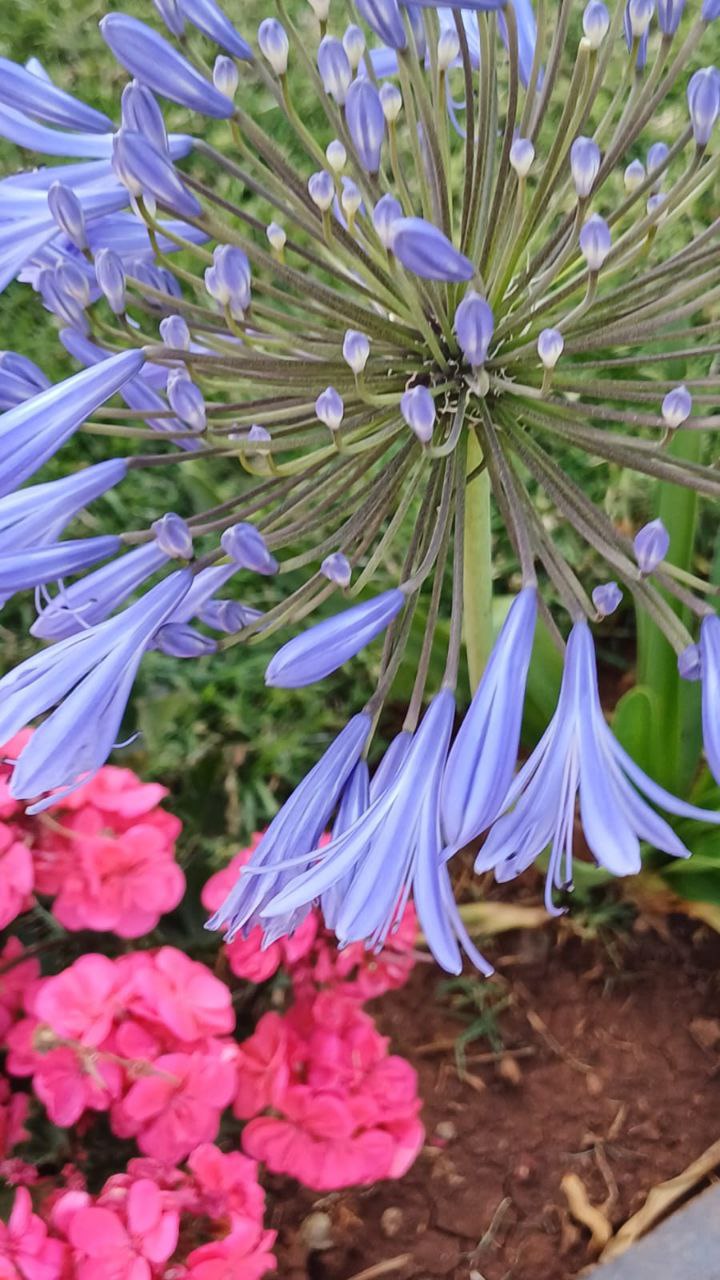 Эфиопия: родина человечества (19/30)