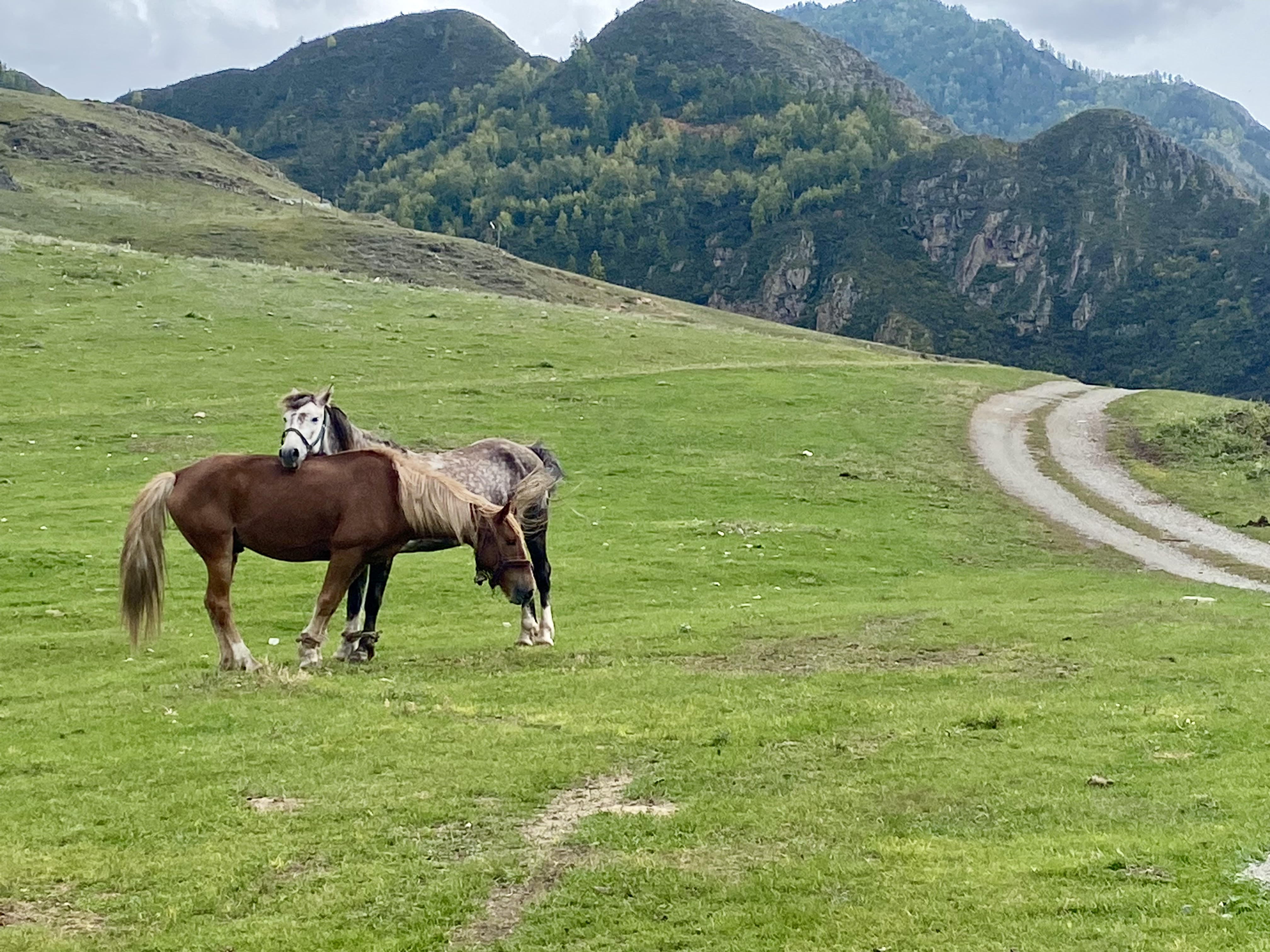 Йога-тур в долине неолита на Алтае! (34/49)