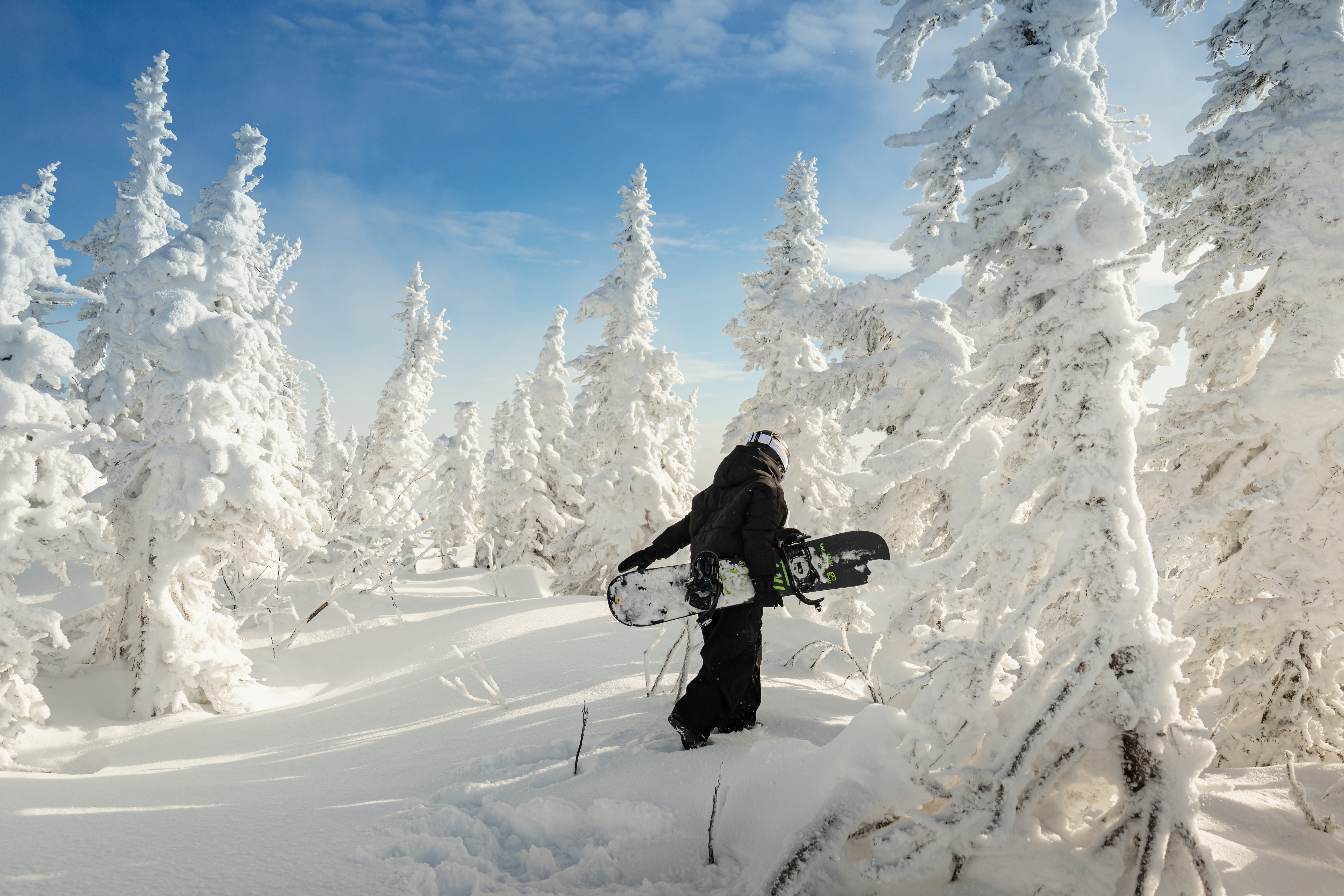 Полный катальный день