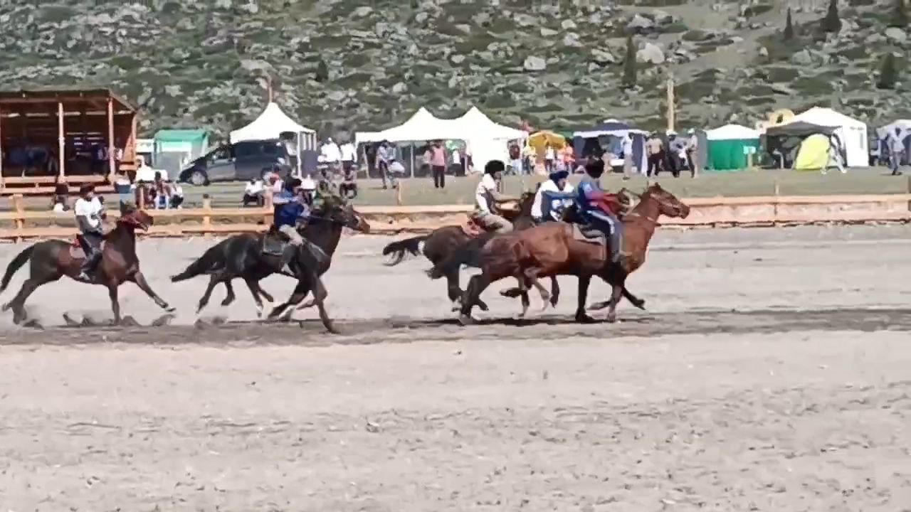 Однодневный фототур. Цветение маральника: Алтай в розовом цвету (8/10)
