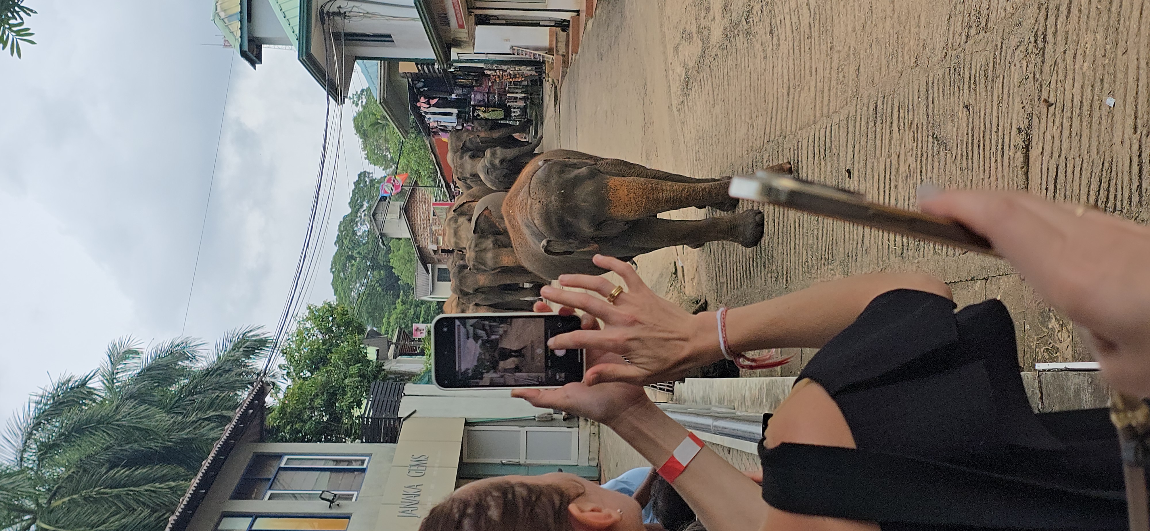 Вибрации Шри-Ланки: практика медитации в топ локациях за 9 дней (25/58)