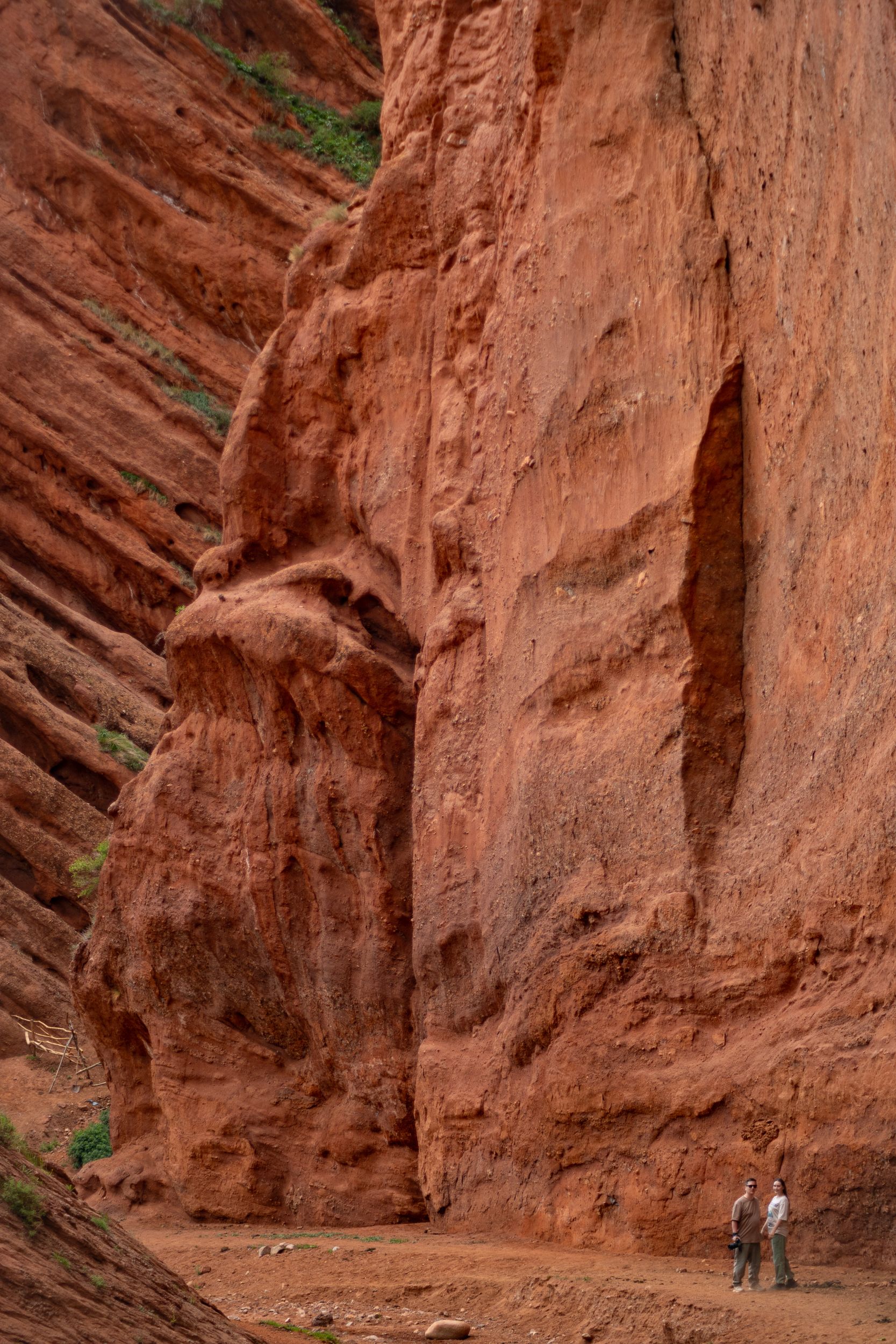Солнечный Кыргызстан с профессиональным фотографом (39/45)