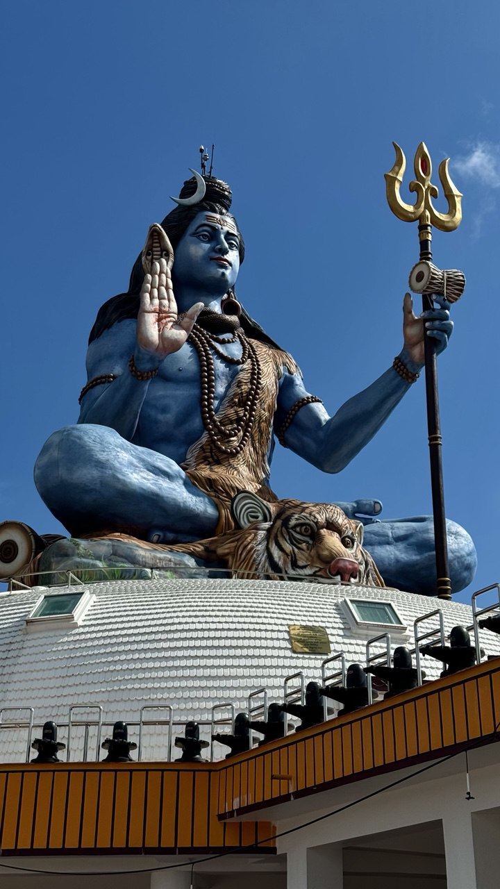 Непал. Марди Химал. Включено, дегустация чая, питание на треке, портеры, мастер класс (12/12)