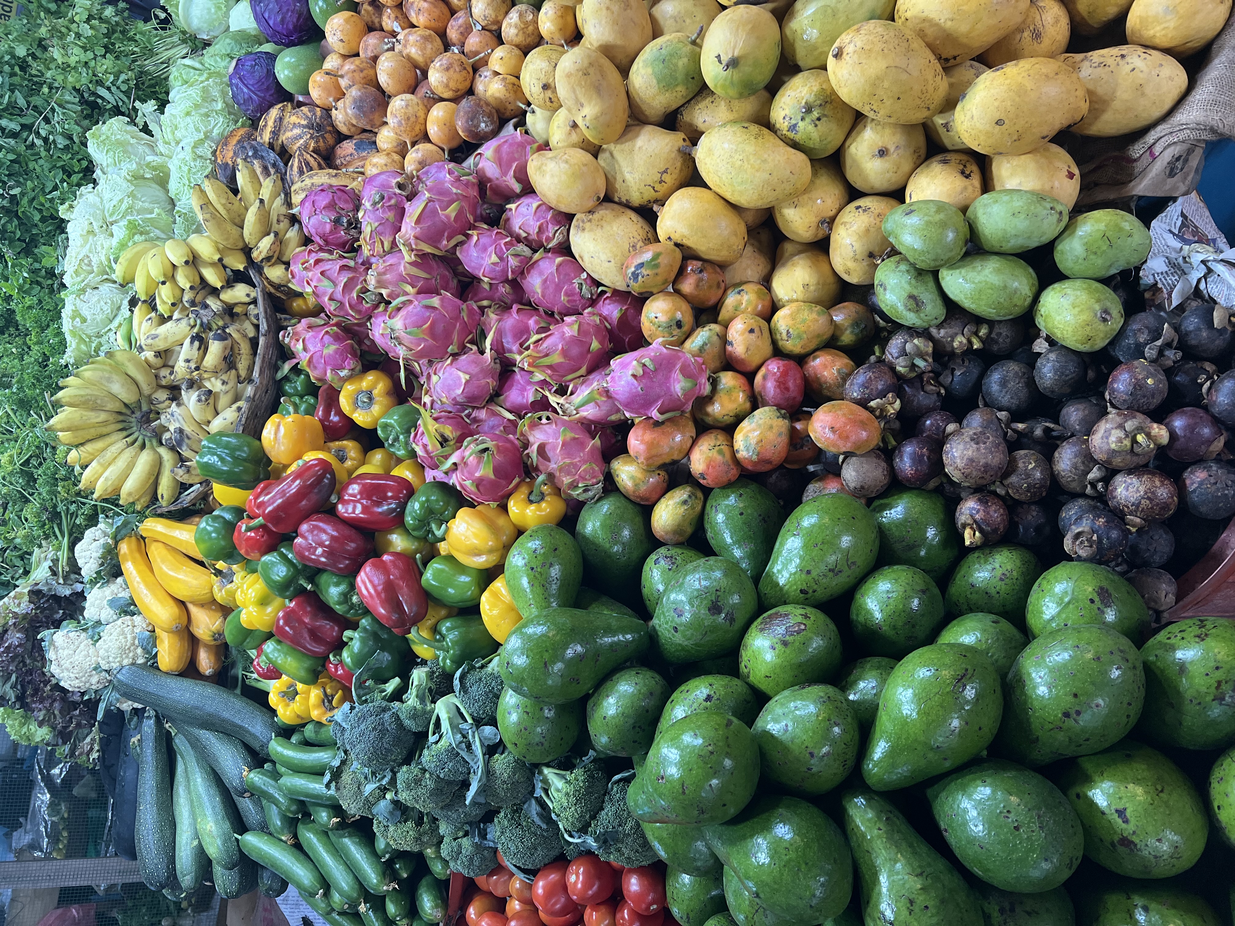 Вибрации Шри-Ланки: практика медитации в топ локациях за 9 дней (20/58)