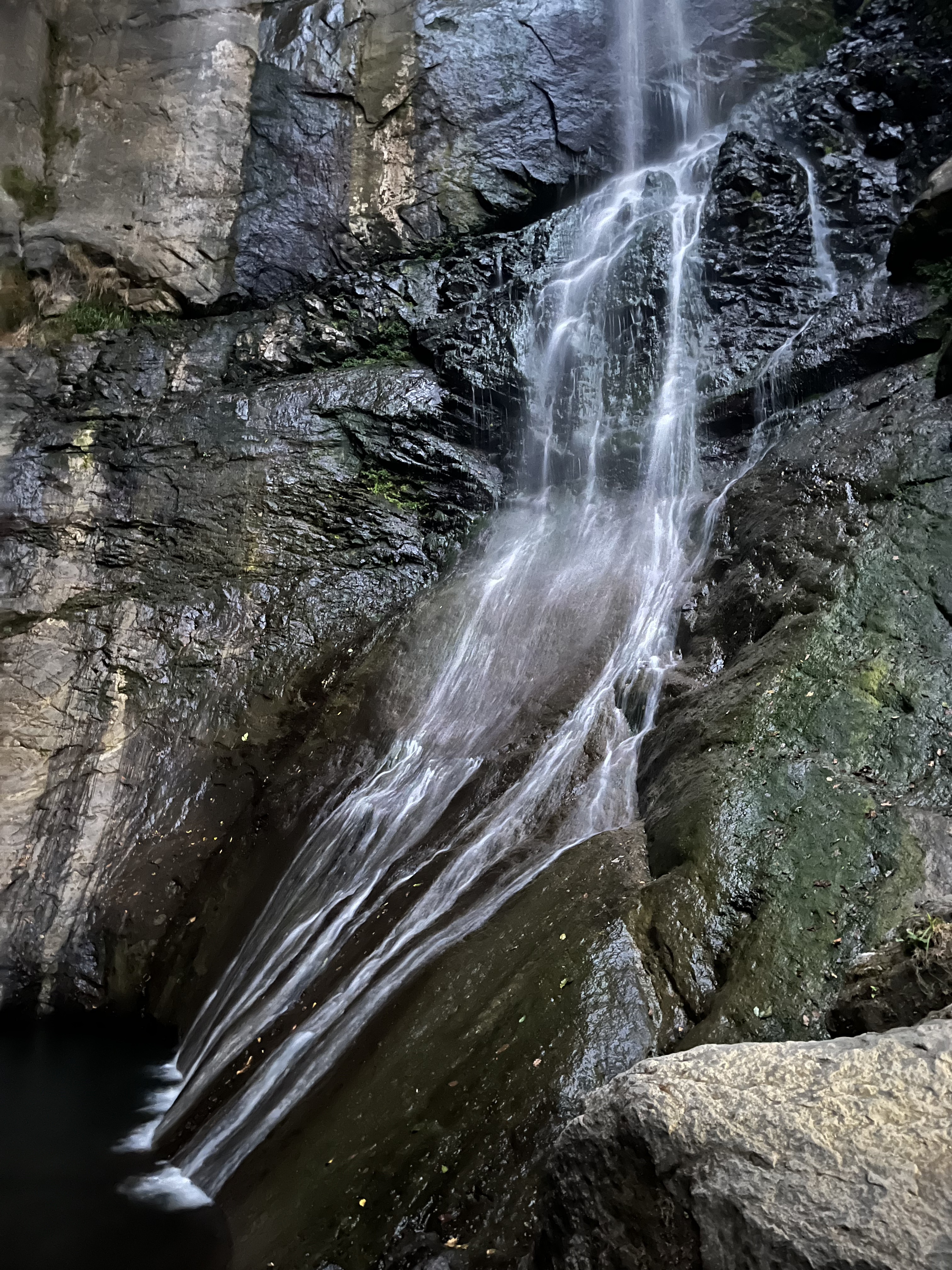 Девичник в Грузию с посещением концерта Меладзе (8/26)