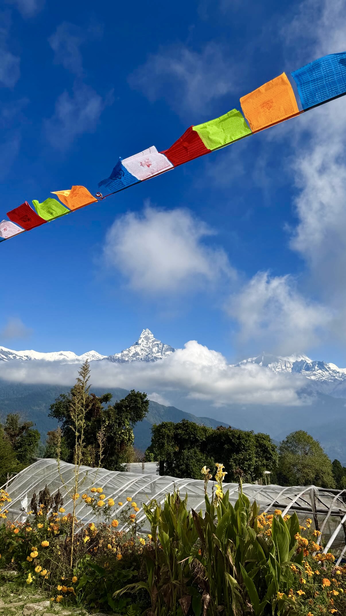 Красоты Непала! Трекинг к Марди Химал