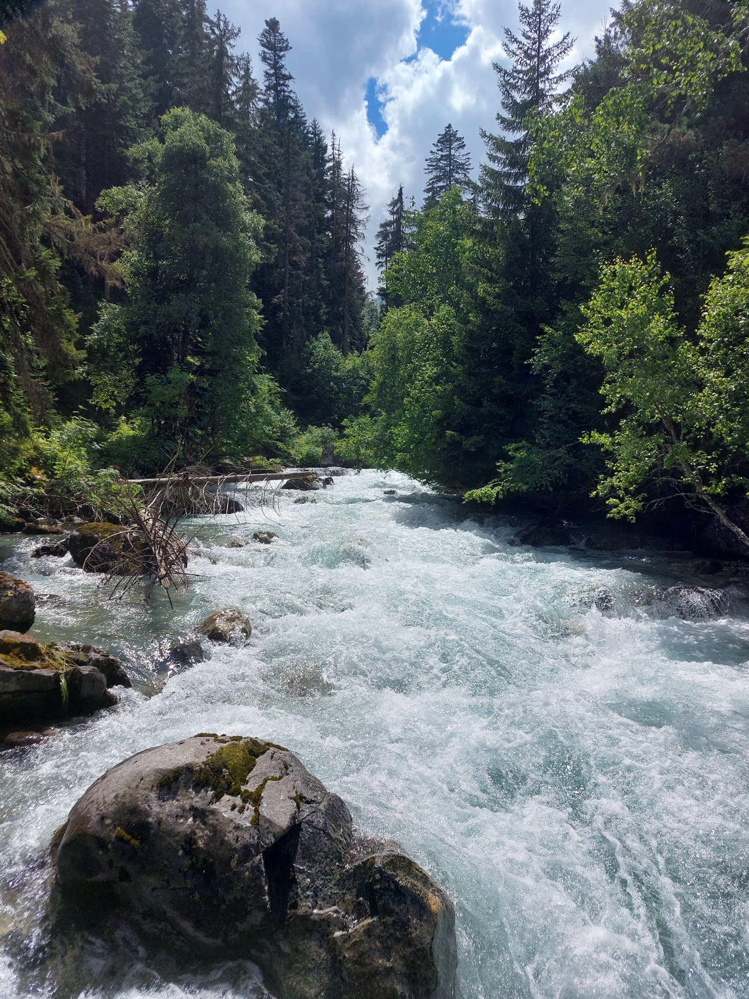 Экскурсия в Махарское ущелье: путешествие в сердце Карачаево-Черкесии (индивидуально) (3/9)