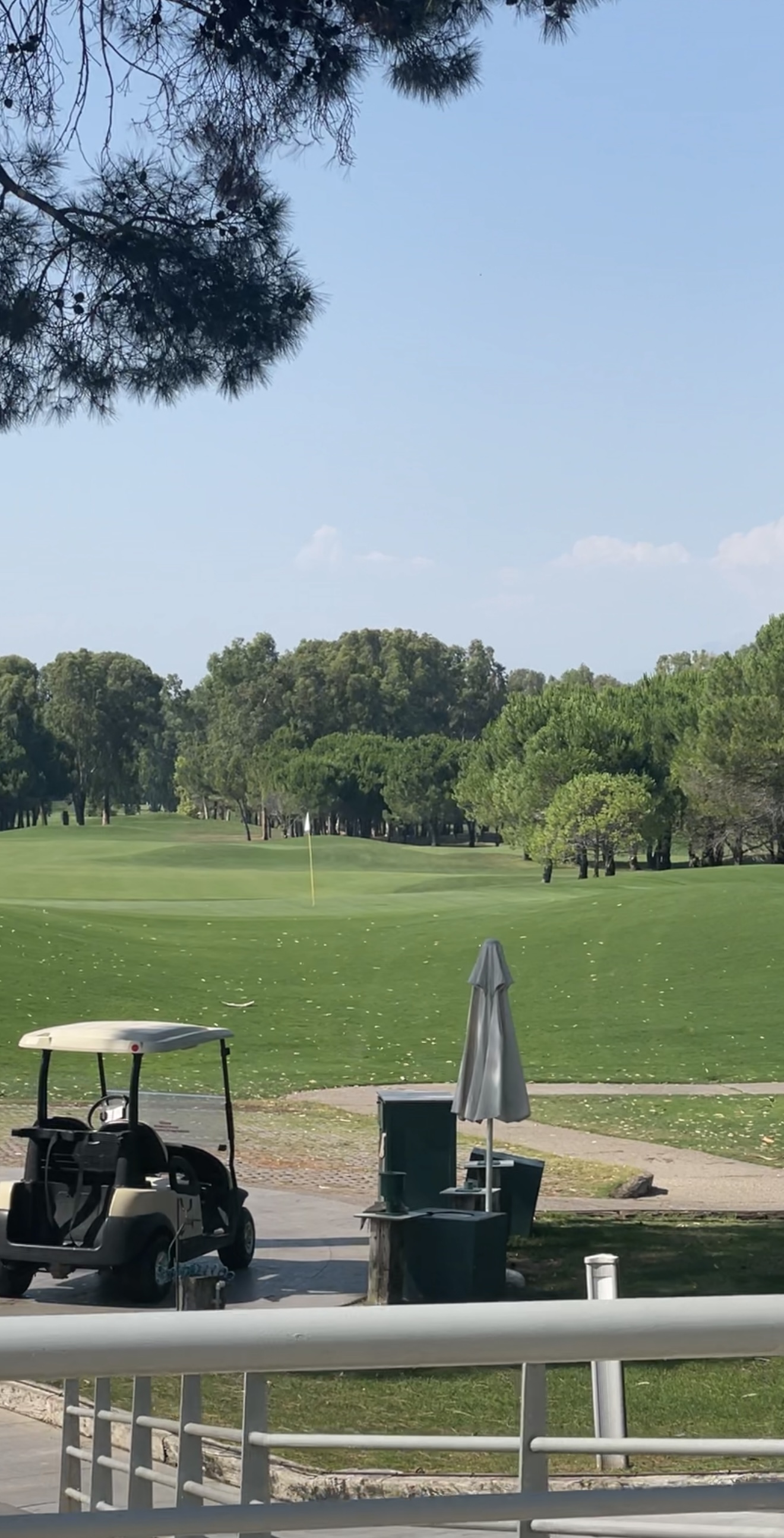 Гольф-академия: интенсивный курс (13/15)