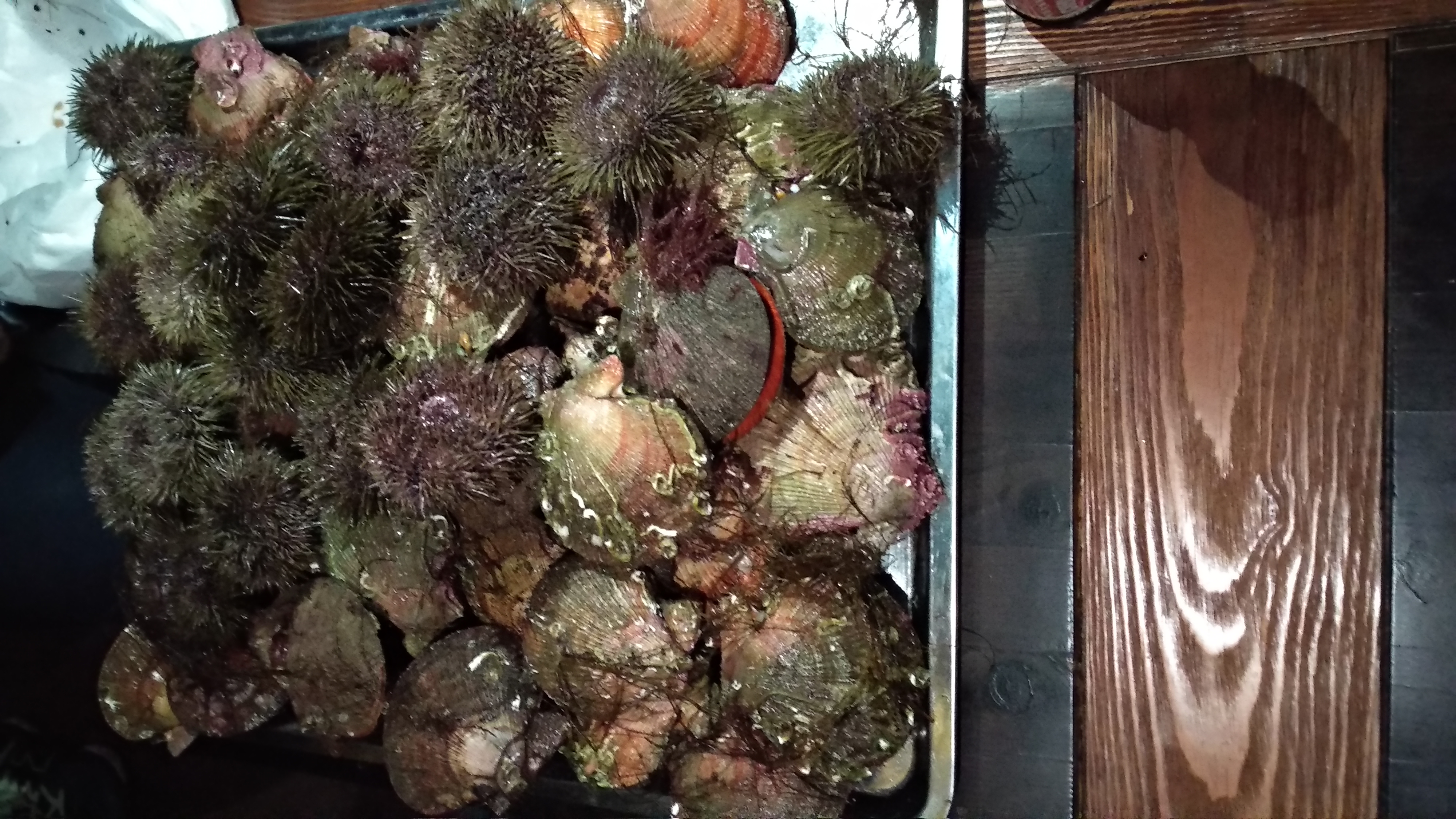 7-9.03 девичник все включено с перелетом Аэрофлот на Кольский п-ров (9/28)