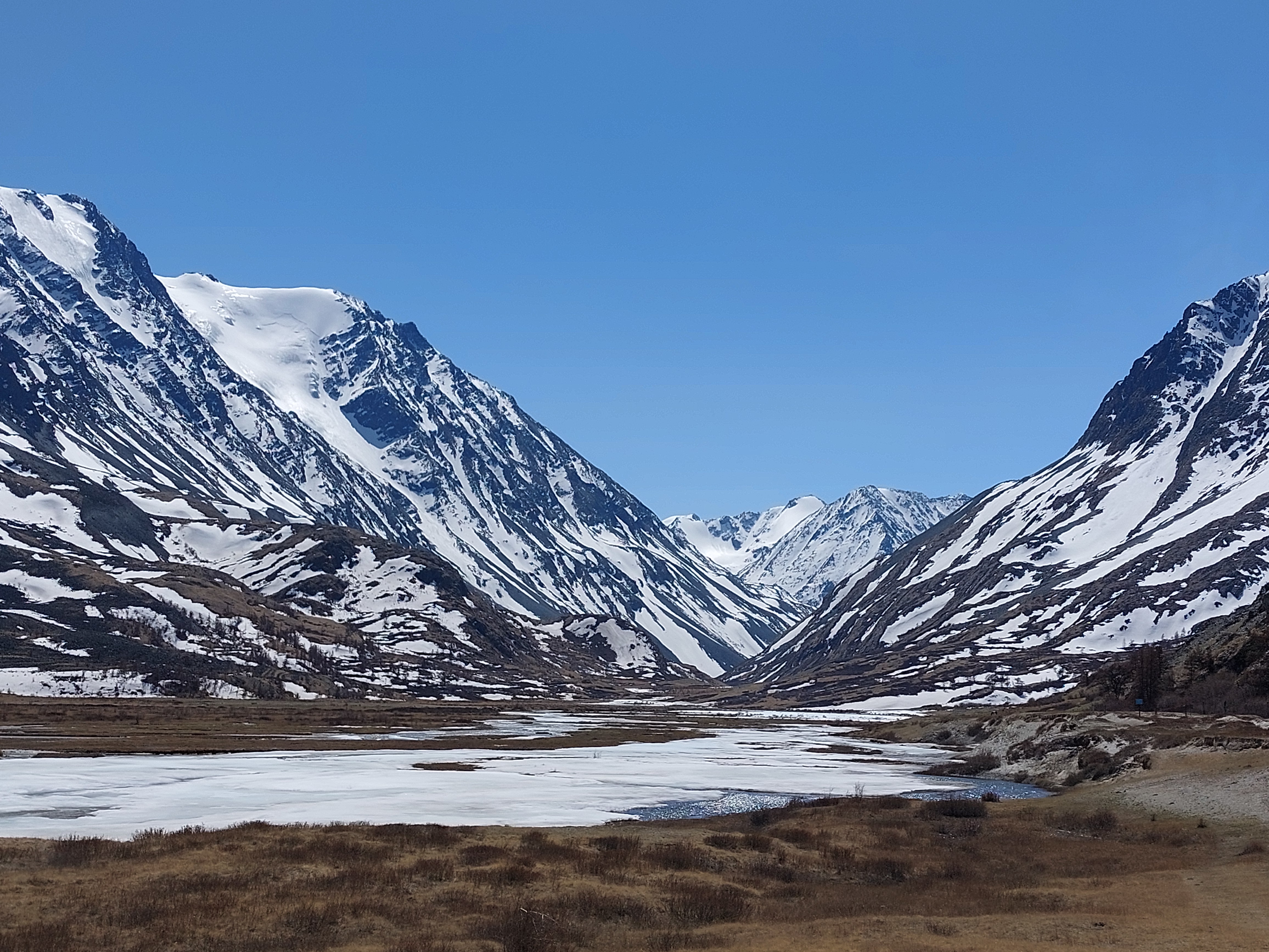 Цветение маральника. Автотур по Чуйскому тракту (16/28)