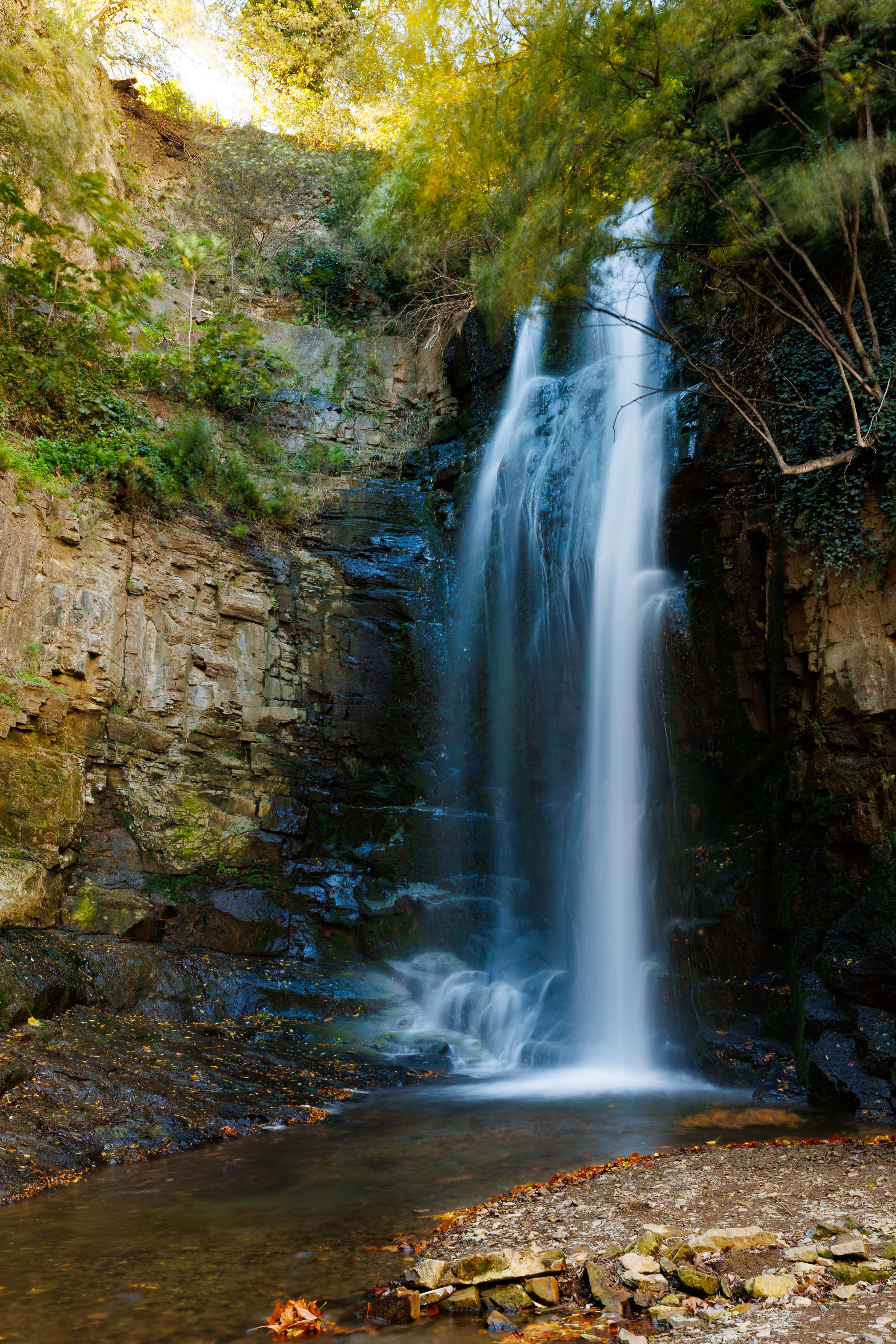 Горы, вино, великая история и люди! Яркая Грузия! (78/108)