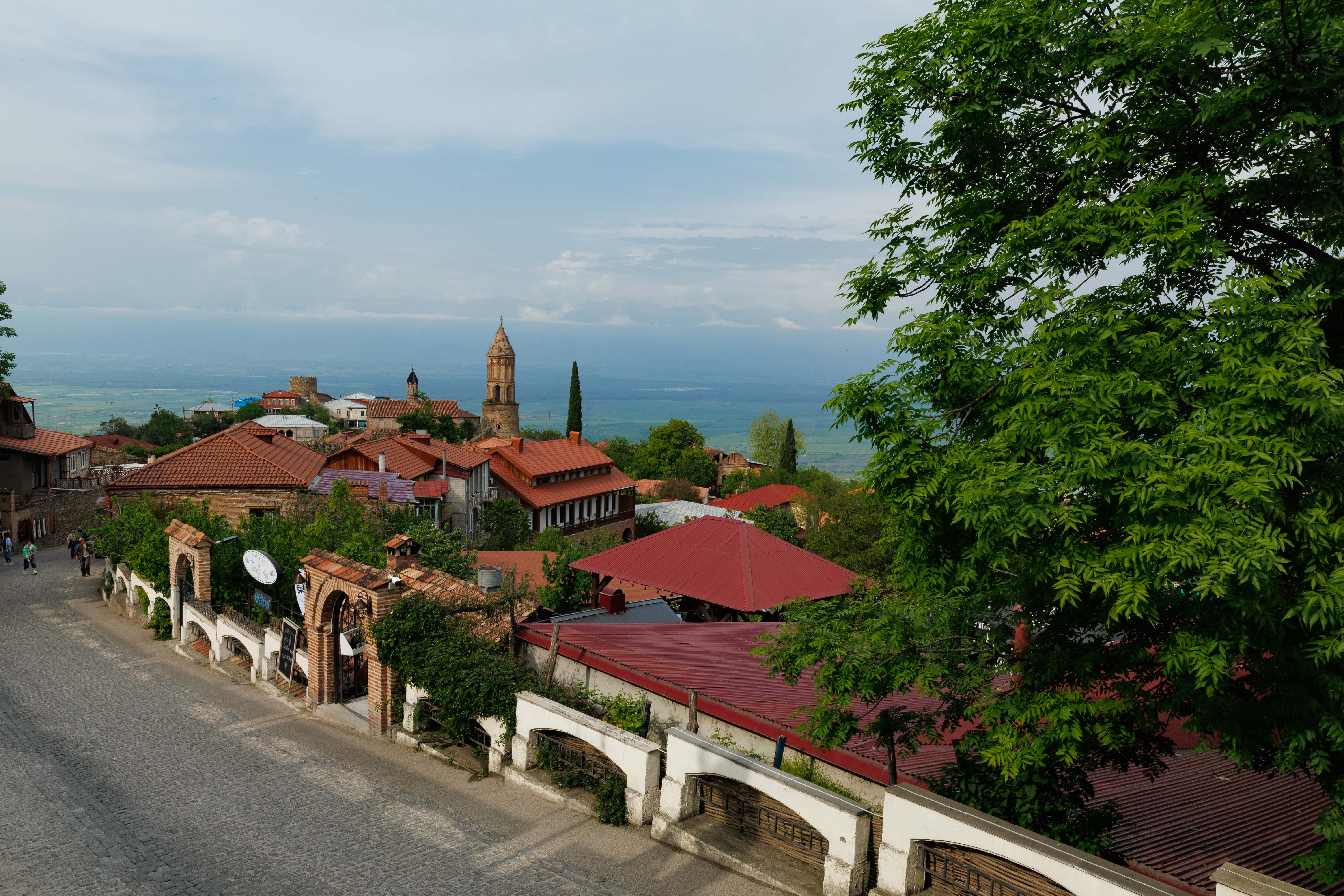 Горы, вино, великая история и люди! Яркая Грузия! (72/108)