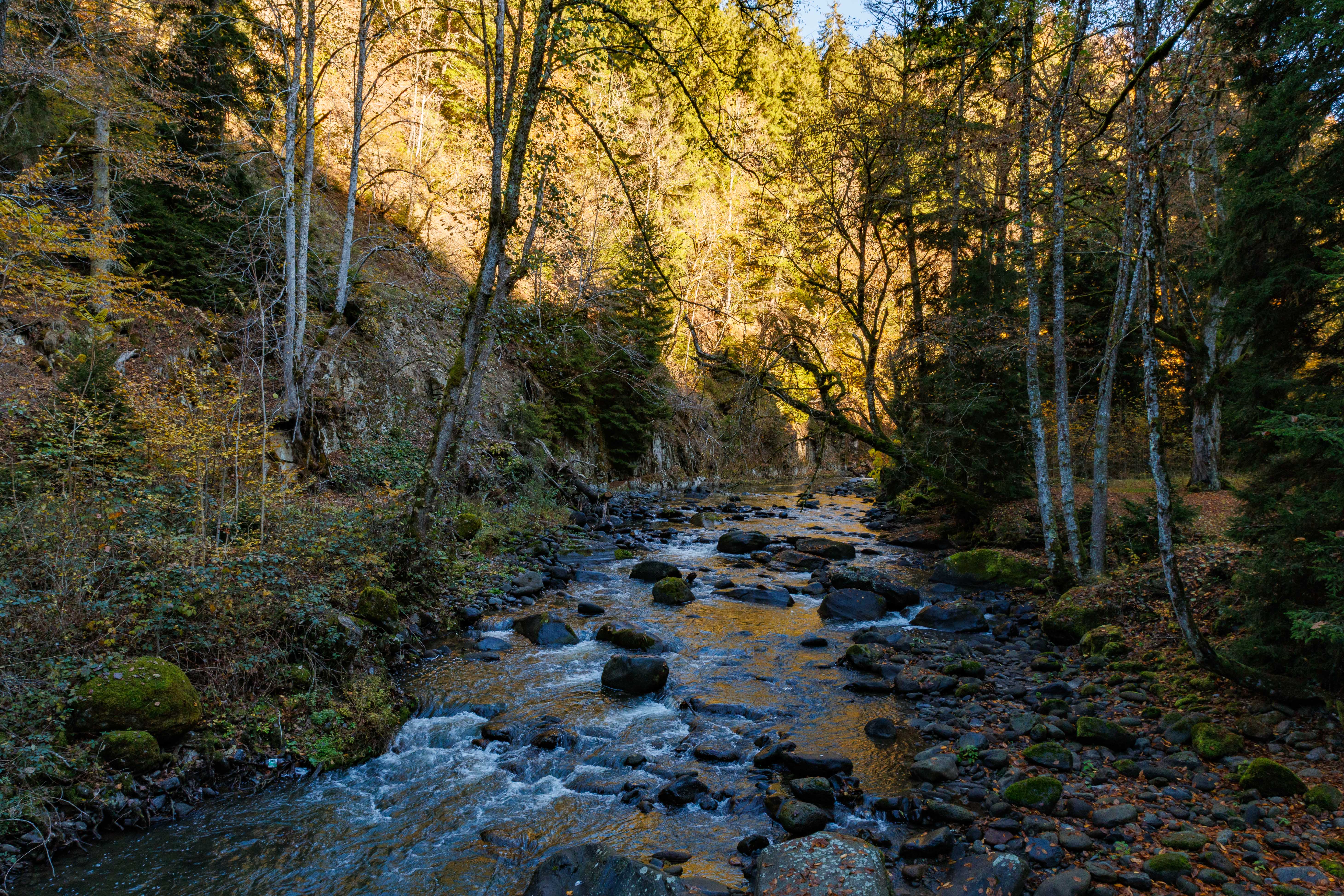 Горы, вино, великая история и люди! Яркая Грузия! (90/108)