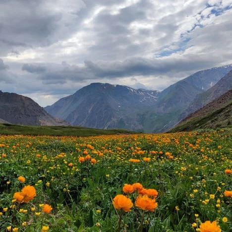 По местам силы Алтая: авторский тур, 8 дней наедине с природой (5/40)