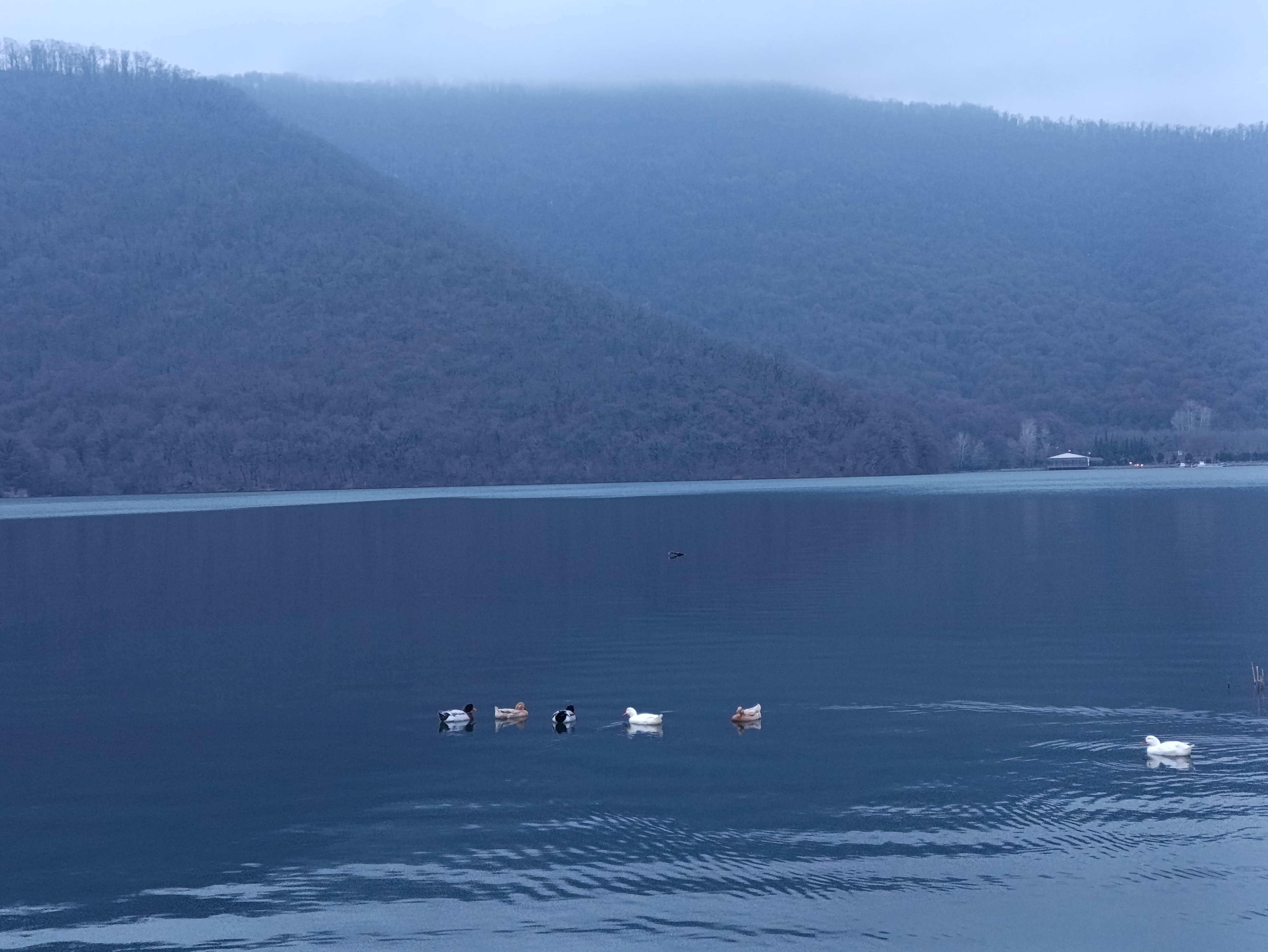 Азербайджан за 2 дня: от Лагича до горы Туфандаг, винные дегустации, альпаки канатка (29/41)