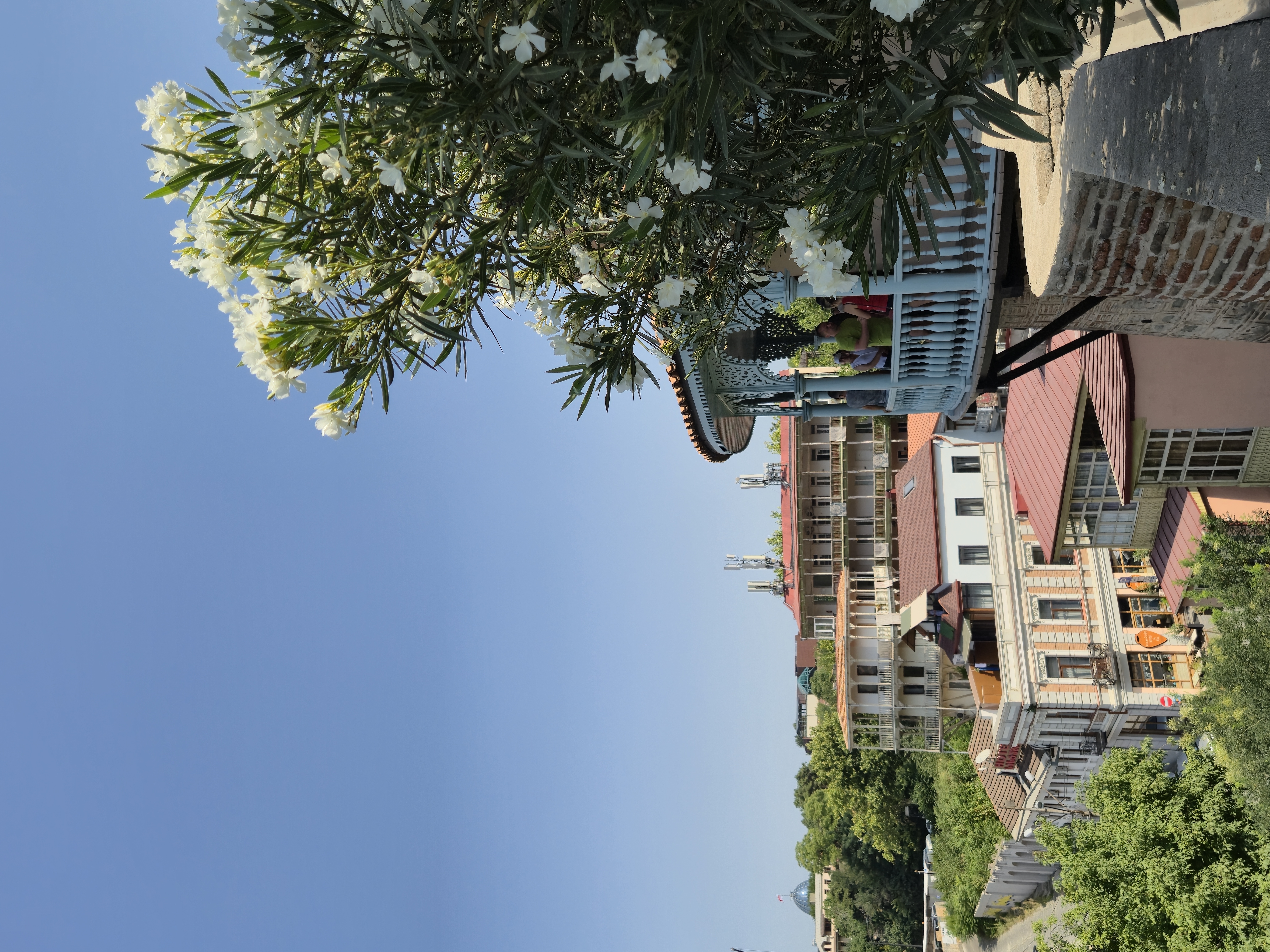 Солнечная Грузия! На море в Батуми + Тбилиси, Мартвили и Аджария! (45/58)