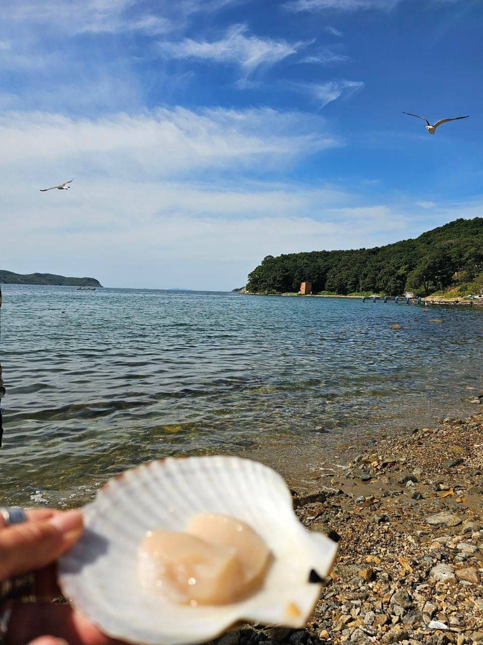 Релакс-тур в Приморье (23/25)