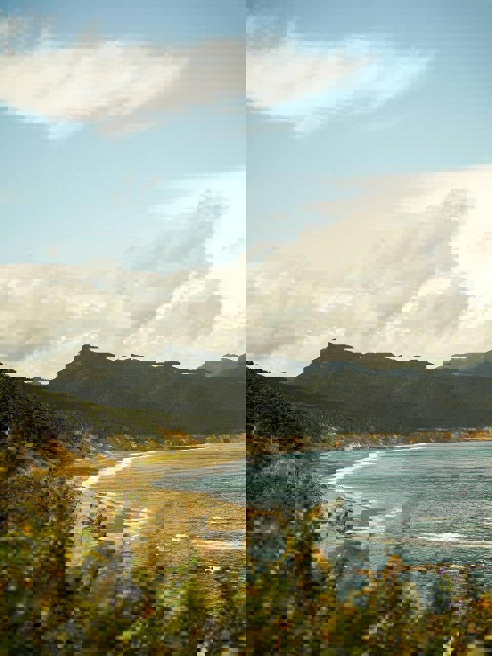 Сахалин и Итуруп: 8 дней на краю земли (17/38)