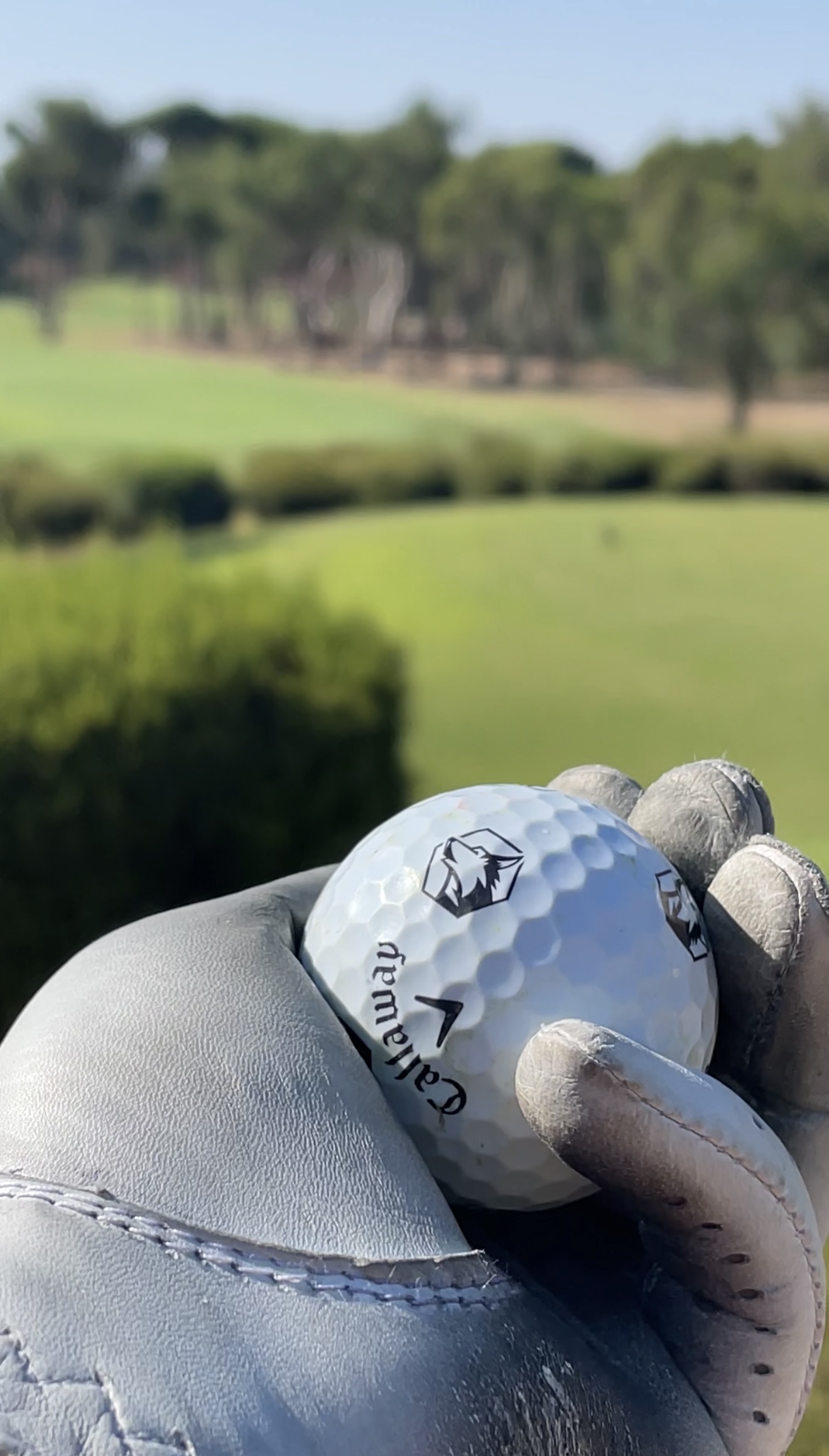 Гольф-академия: интенсивный курс (2/15)