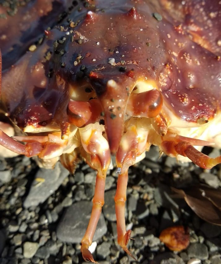 7-9.03 девичник все включено с перелетом Аэрофлот на Кольский п-ров (6/28)