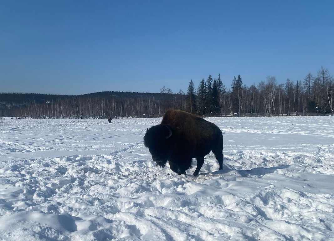 Якутия весной 2026: Красота за полцены! (5/14)