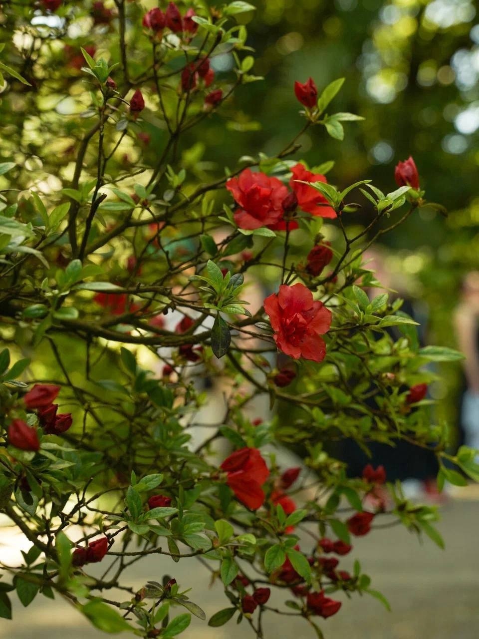 Грузияяяя: дорога к морю! (14/17)