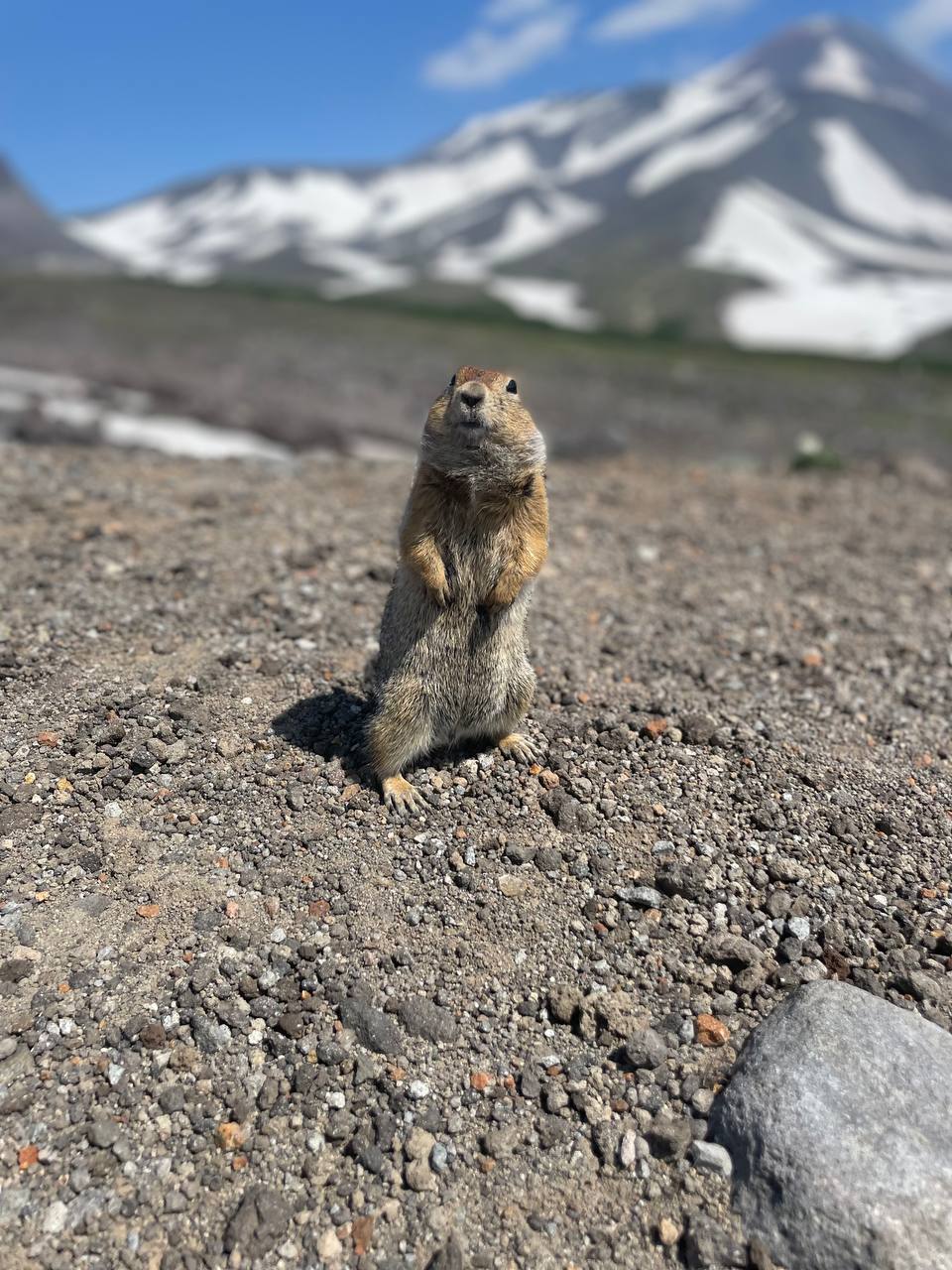 Камчатка по-максимуму! Киты и медведи. Все включено! С комфортом. (2/8)