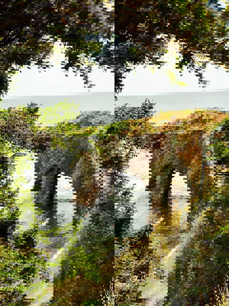 Сахалин и Итуруп: 8 дней на краю земли (29/38)