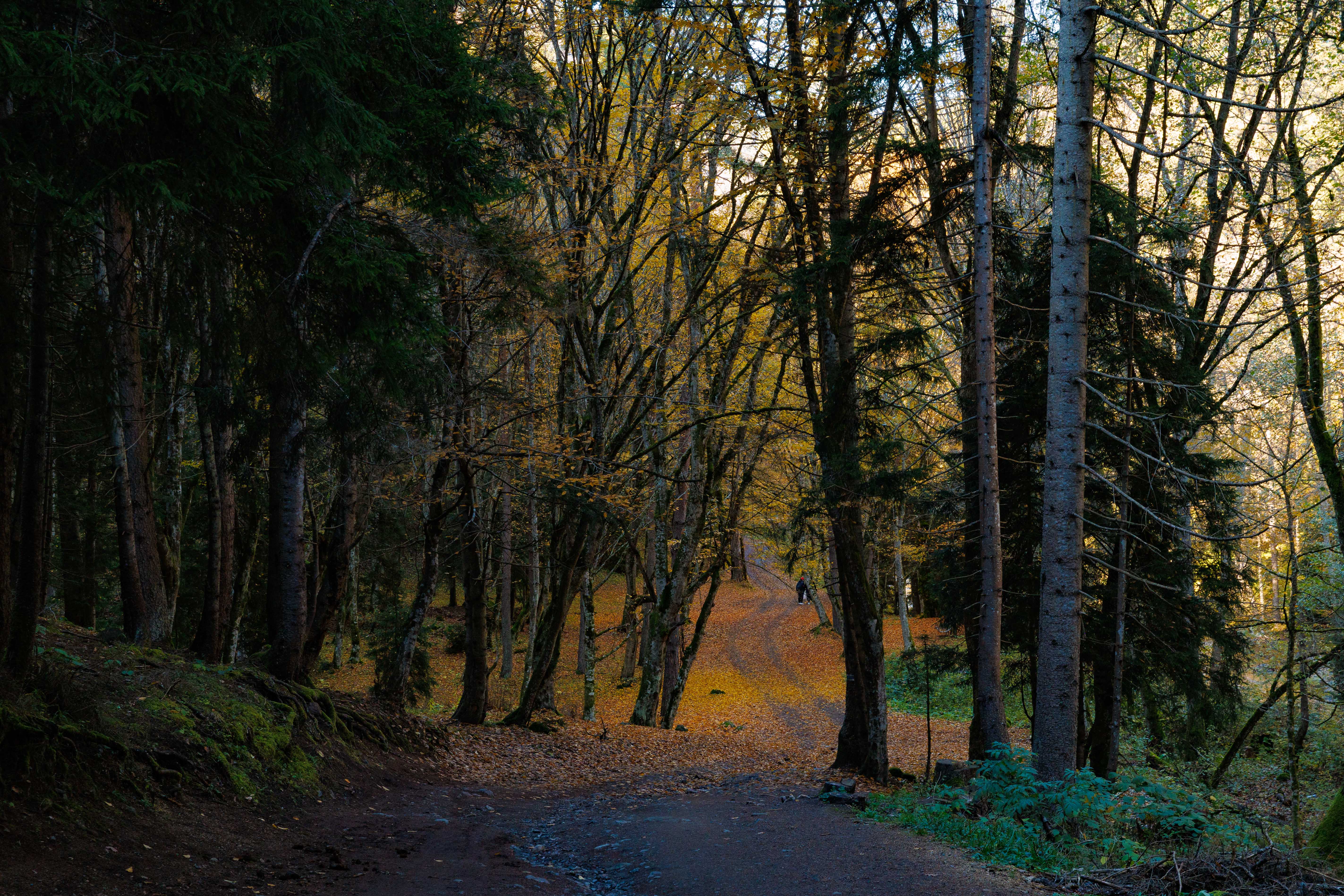 Горы, вино, великая история и люди! Яркая Грузия! (89/108)