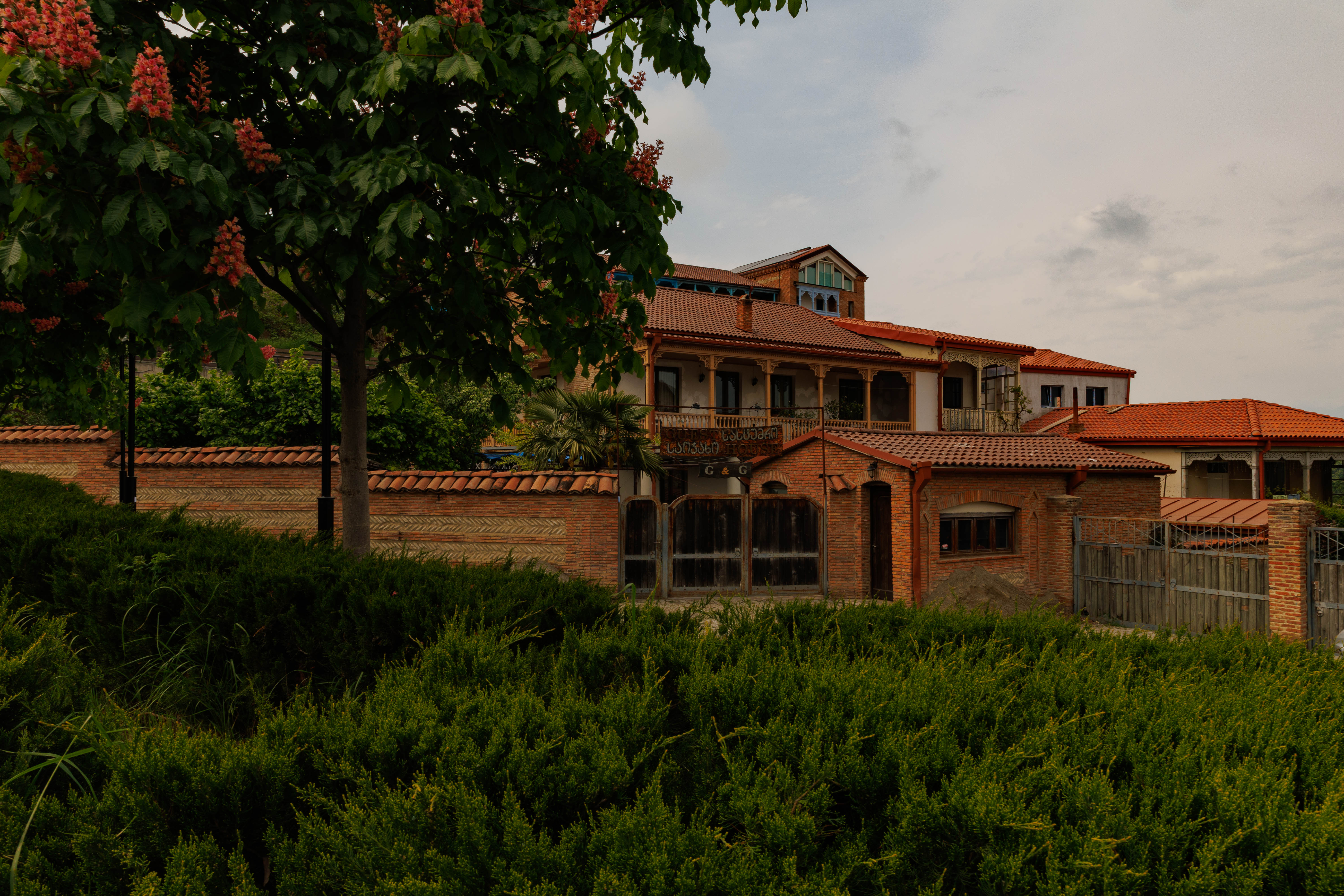 Горы, вино, великая история и люди! Яркая Грузия! (67/108)