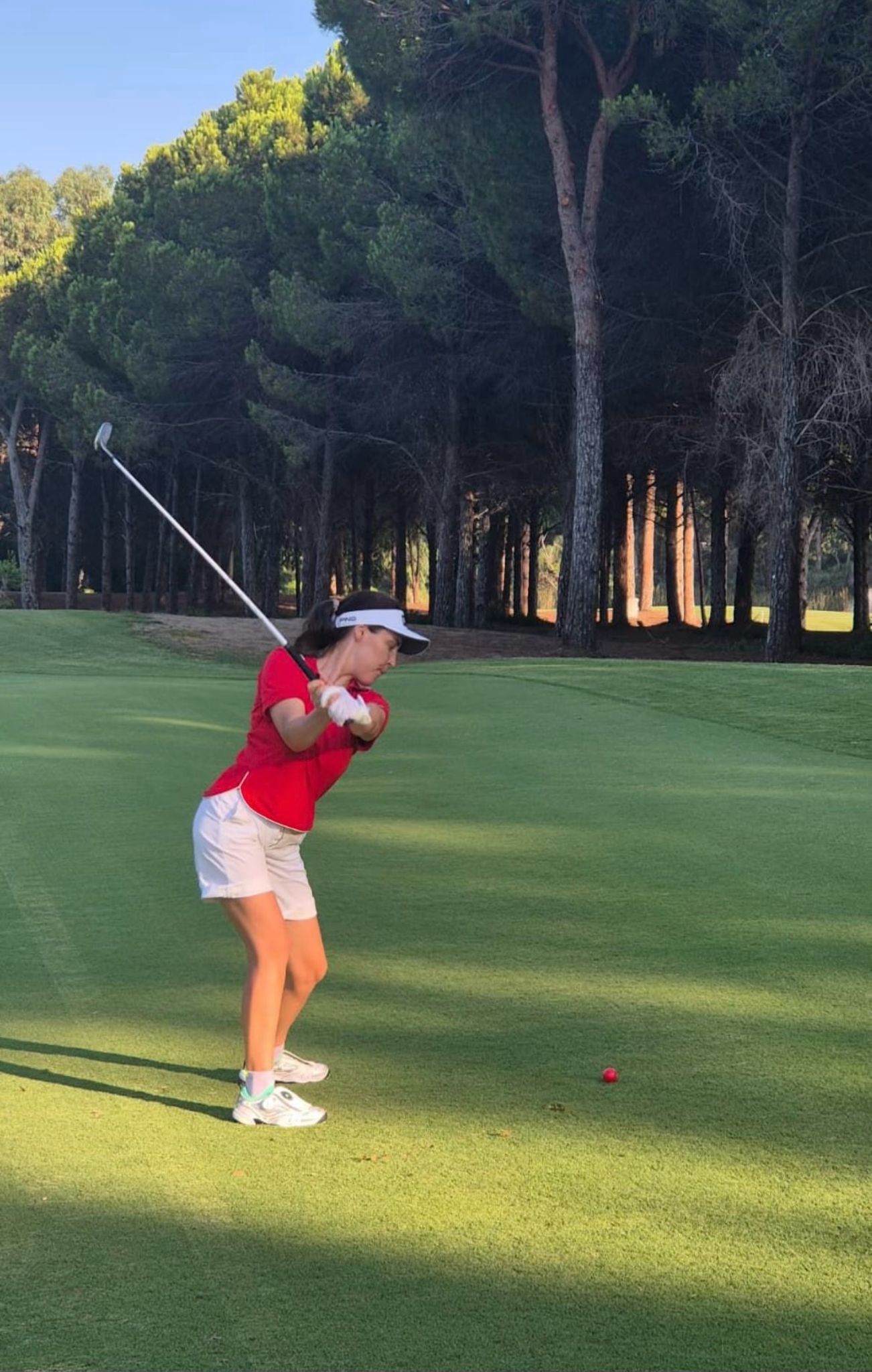 Гольф-академия: интенсивный курс (5/15)