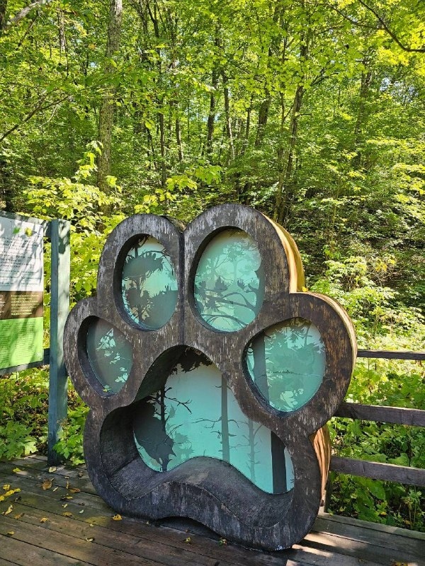 Релакс-тур в Приморье (25/25)