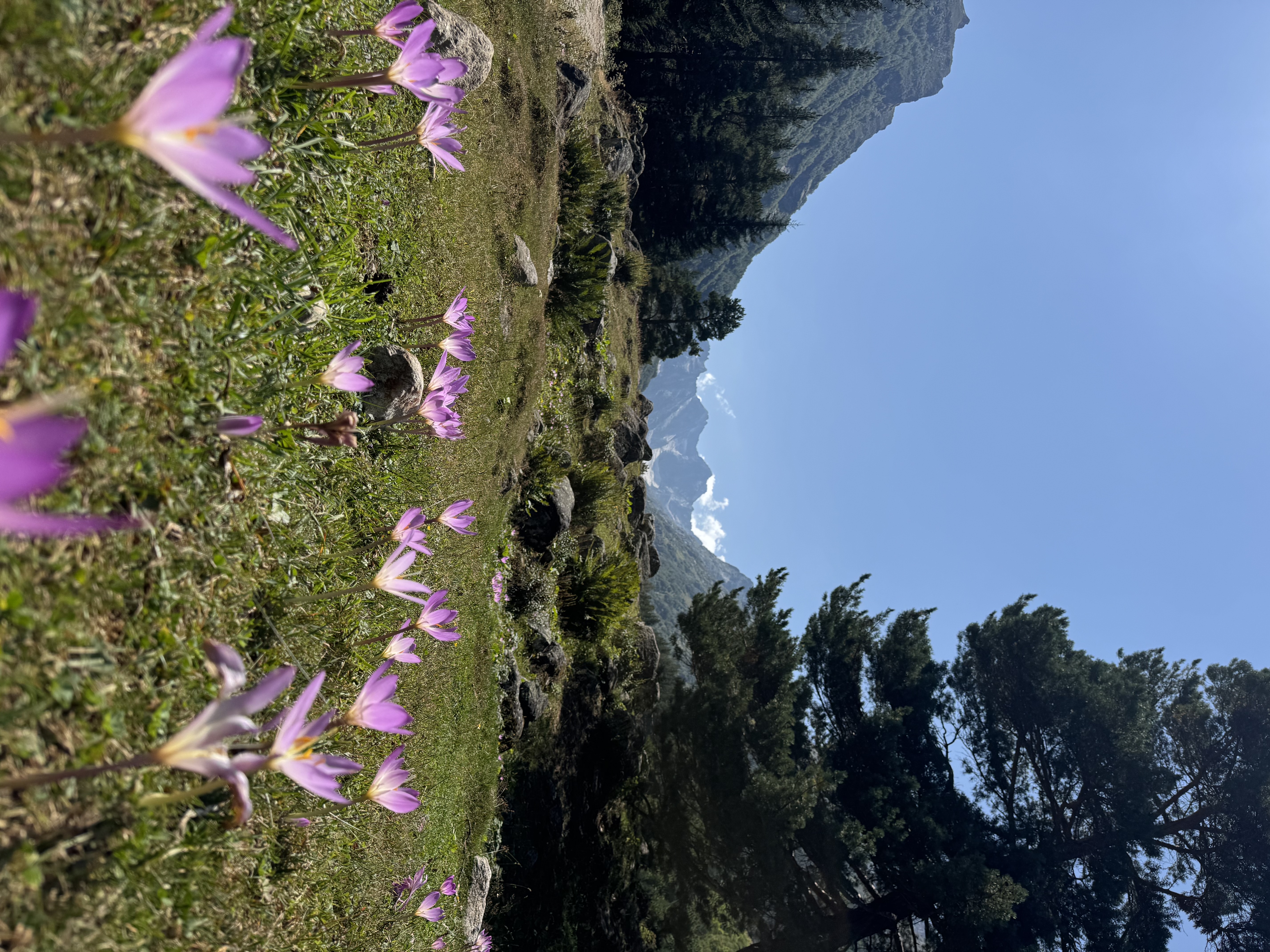 Экскурсия в Махарское ущелье: путешествие в сердце Карачаево-Черкесии (индивидуально) (9/9)