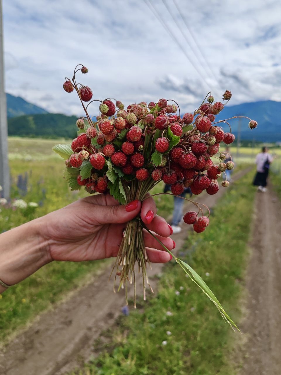 По местам силы Алтая: авторский тур, 8 дней наедине с природой (26/40)