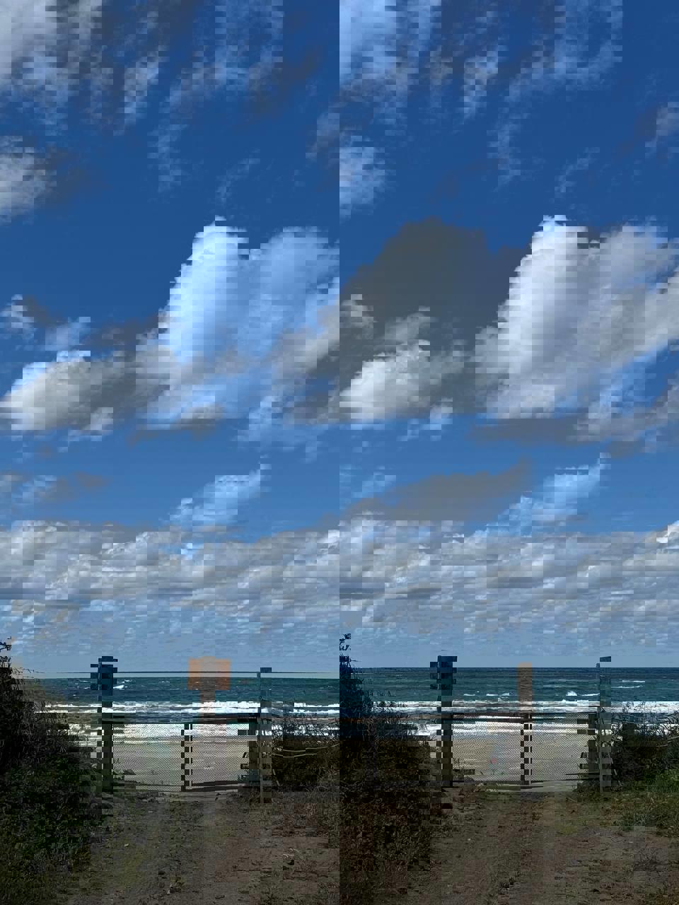 Сахалин и Итуруп: 8 дней на краю земли (31/38)